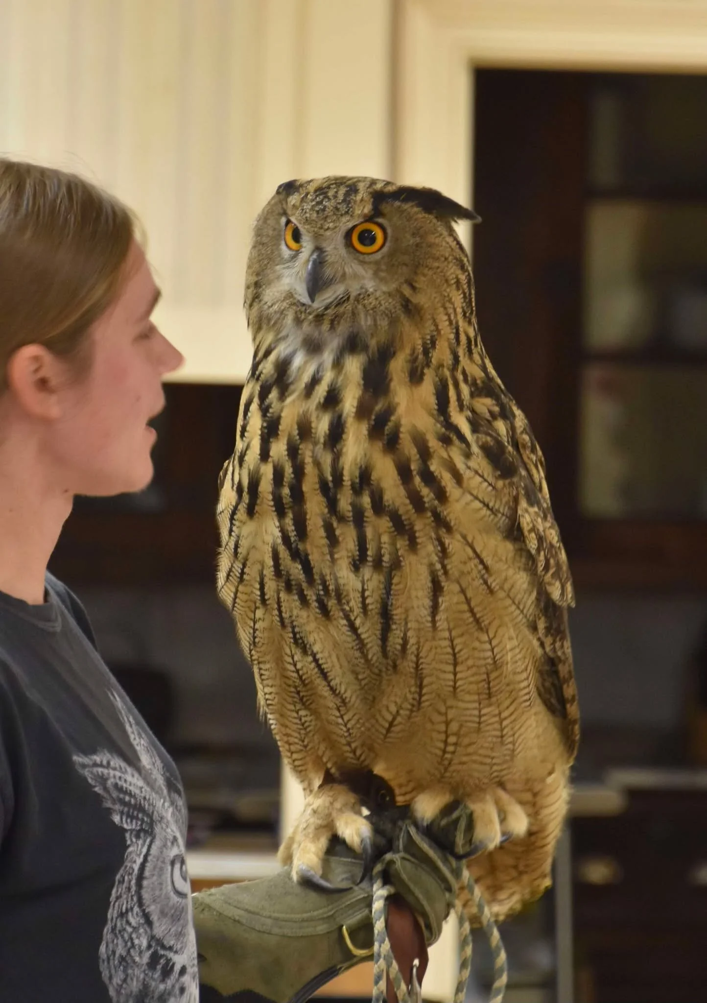 ‘Owl-o-ween
