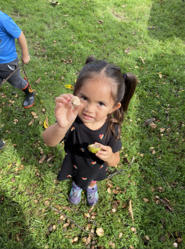 YN Mission and Philosophy — Hudson Highlands Nature Center The Hudson