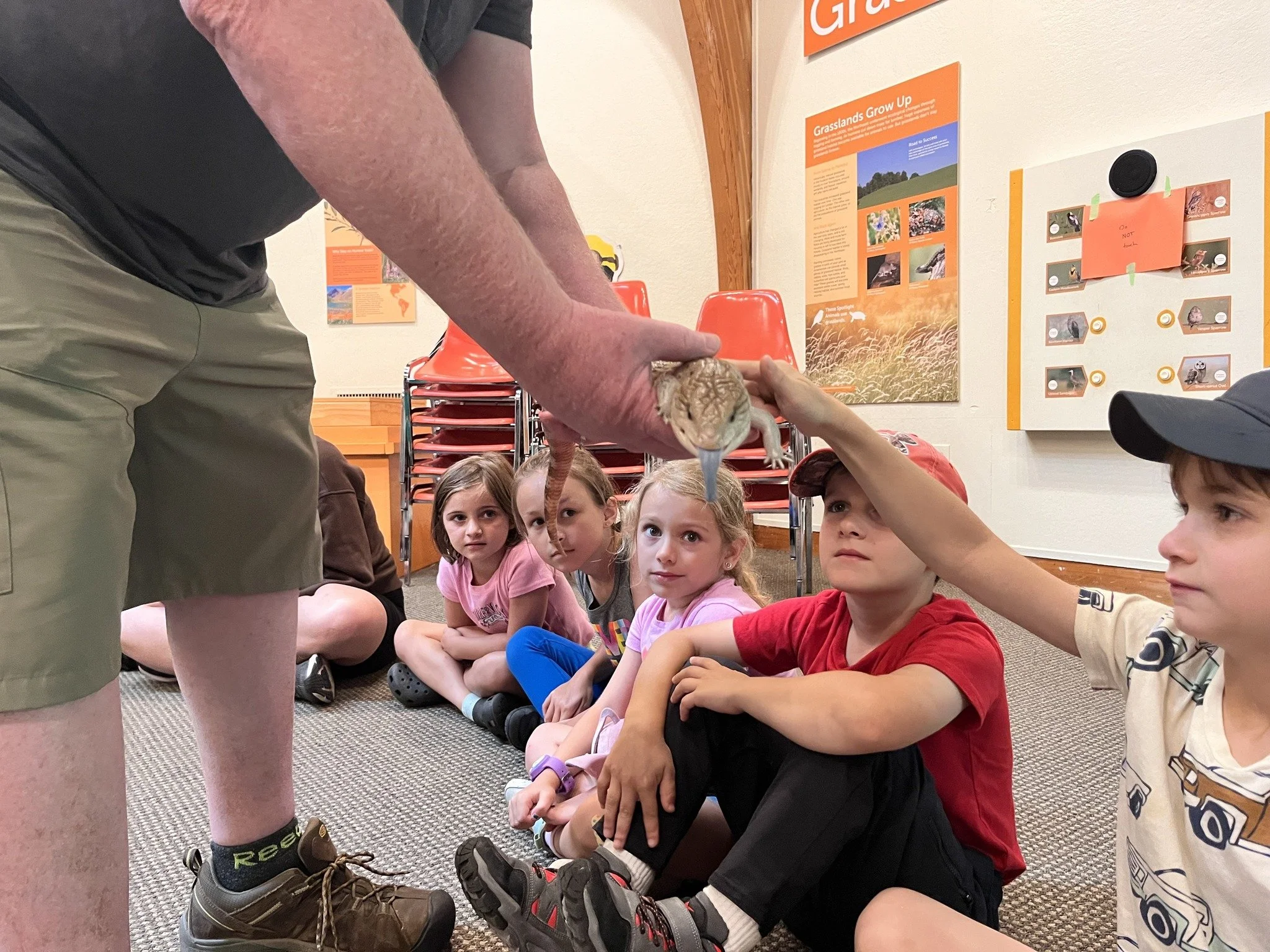 2025 summer camp 5 or wildlife play day.jpg