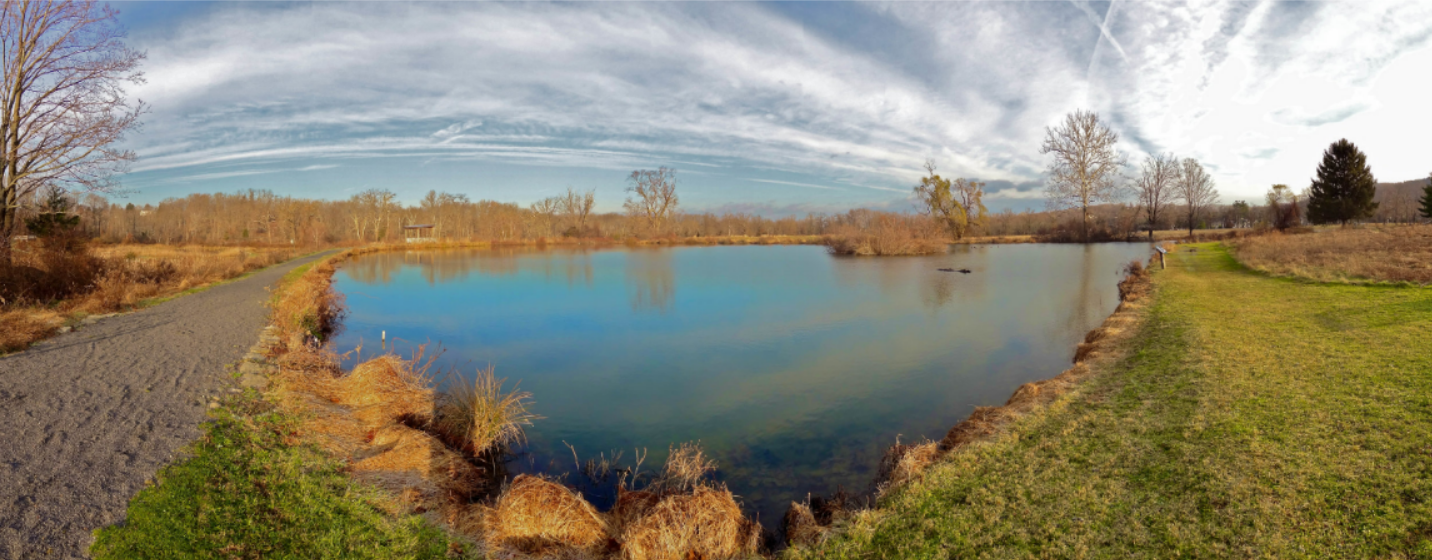 goose pond winter fish eye.PNG