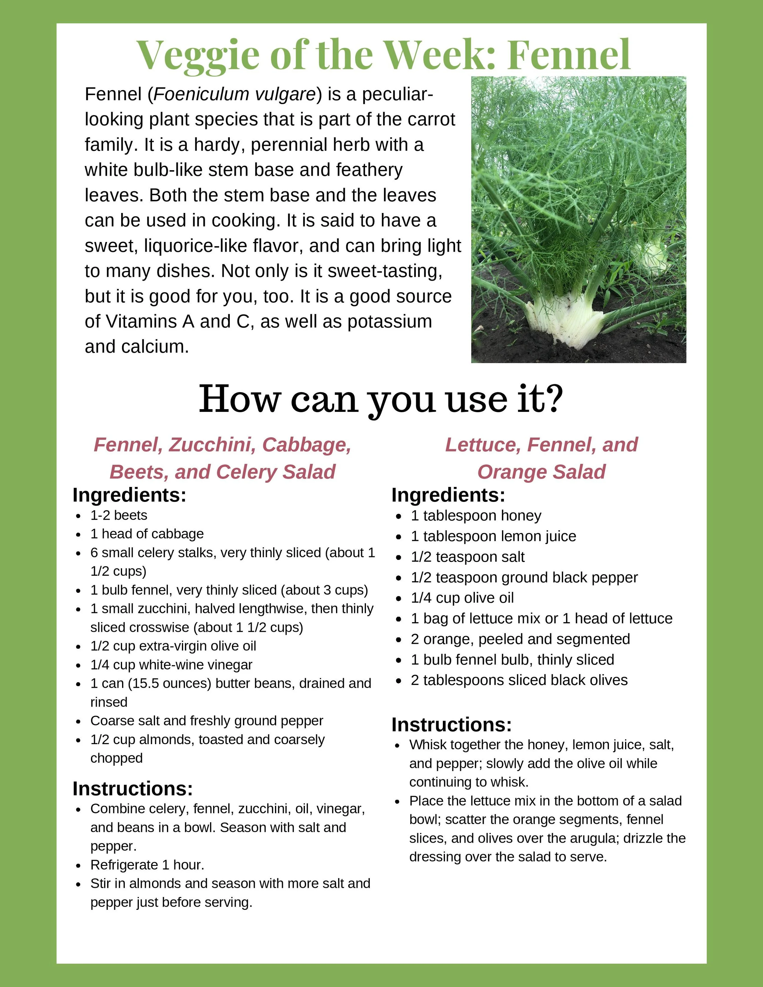 SSF Newsletter - Week 6-page-003.jpg