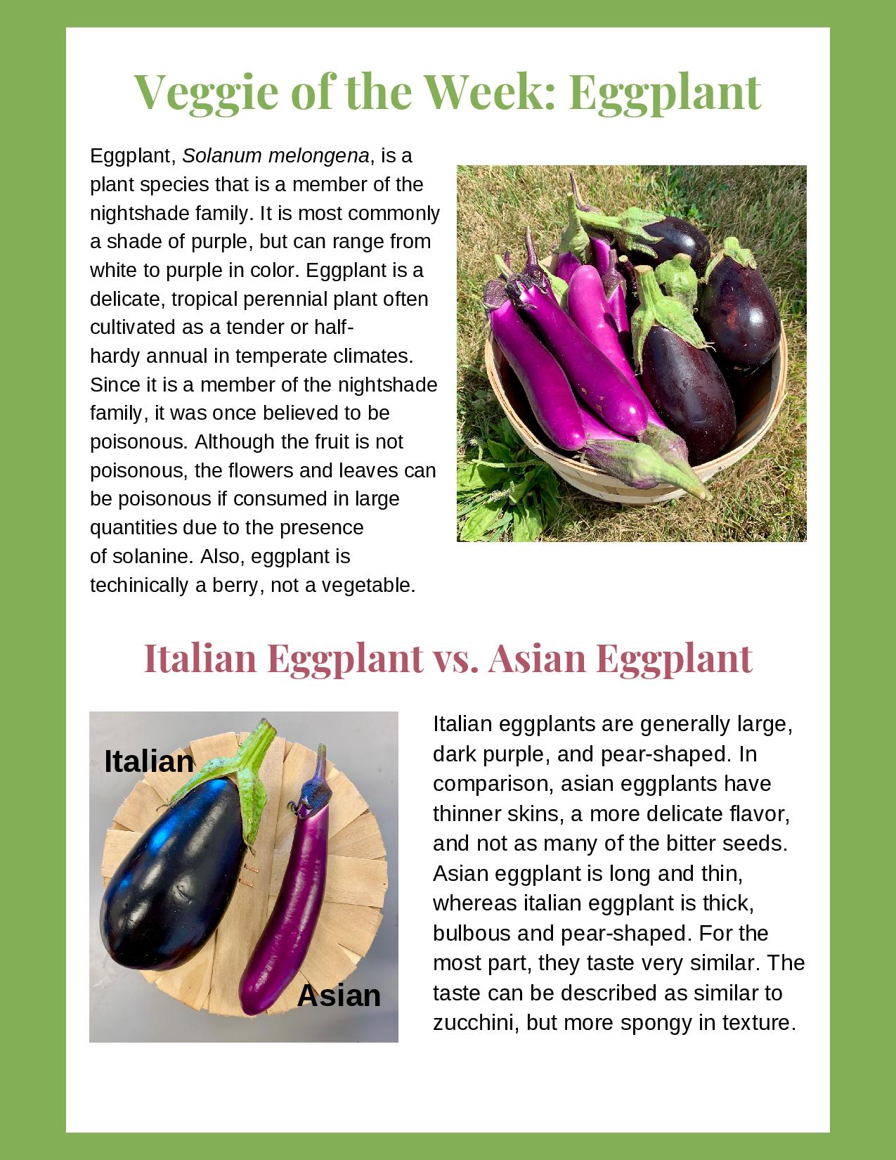 SSF Newsletter - Week 11-page-003.jpg