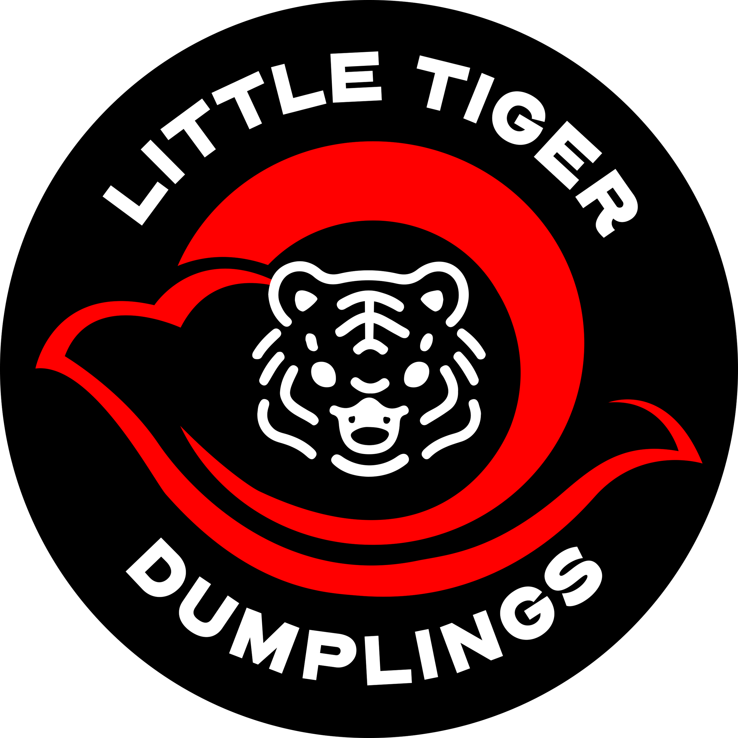 Black background with a red target symbol and a bear face in the center; the text 'LITTLE TIGE' and 'BUMBLINGS' surrounding the design.