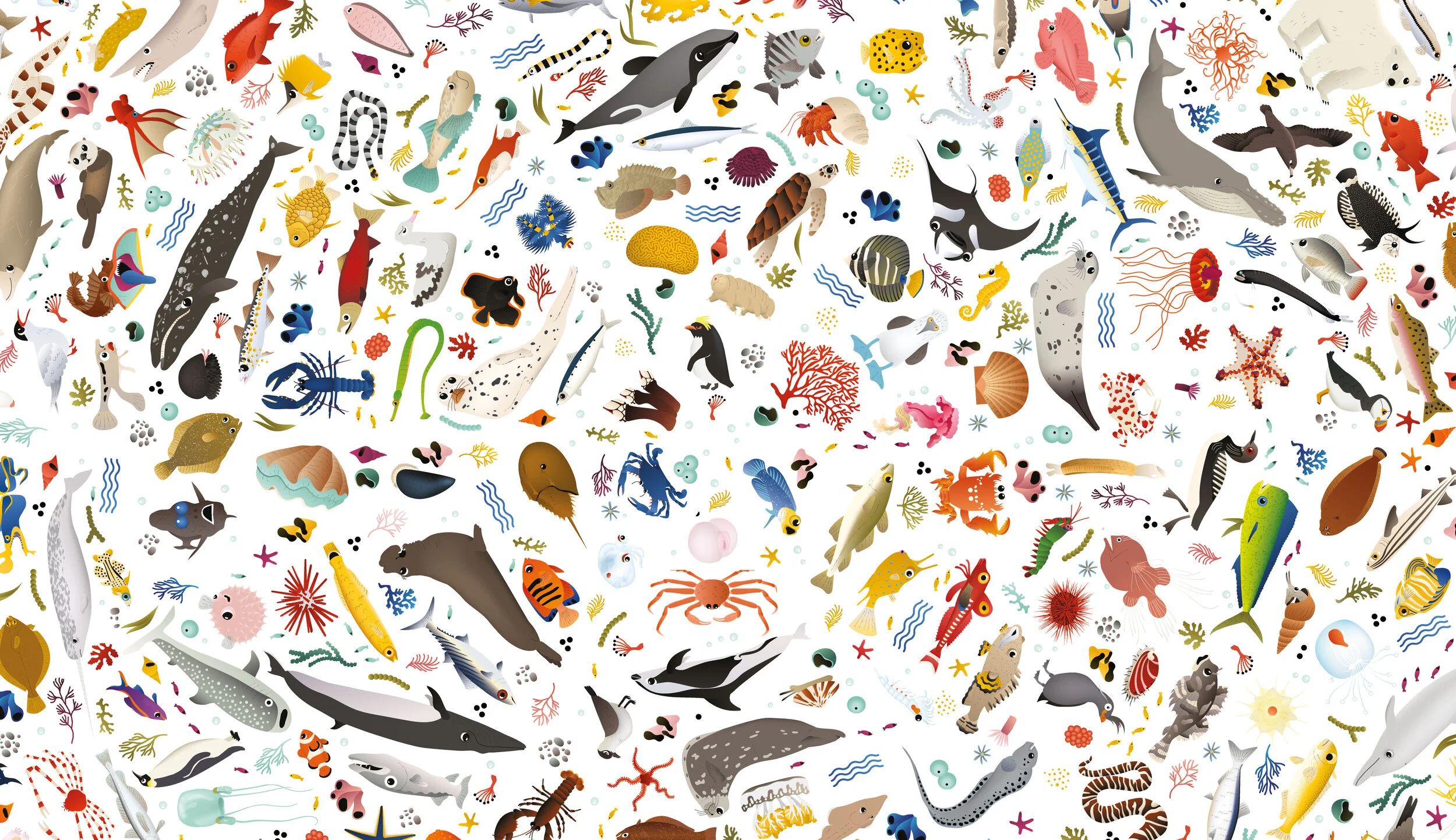 banner isif ocean caroline selmes.jpg