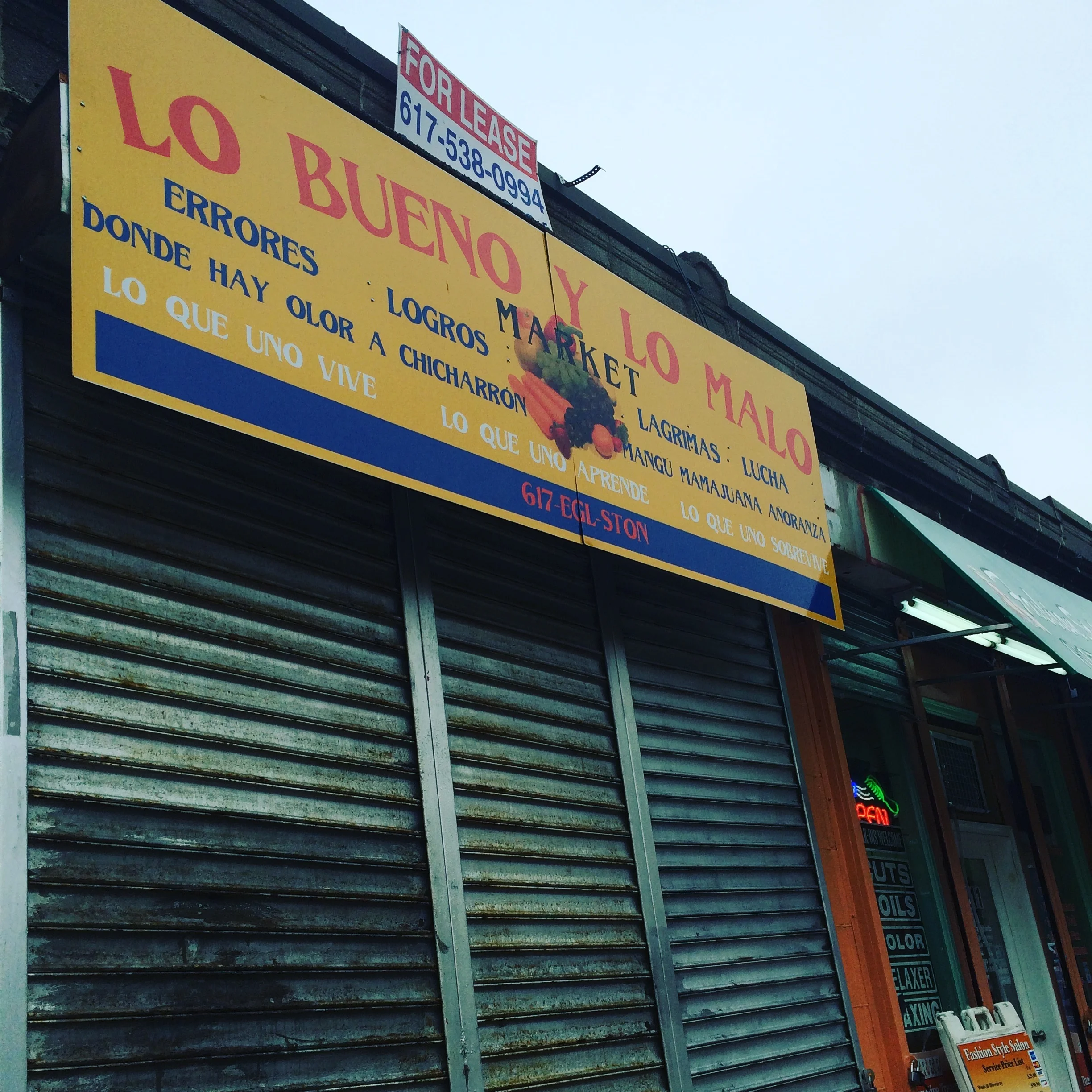Bodega Signs + Wonders, 2015-2017