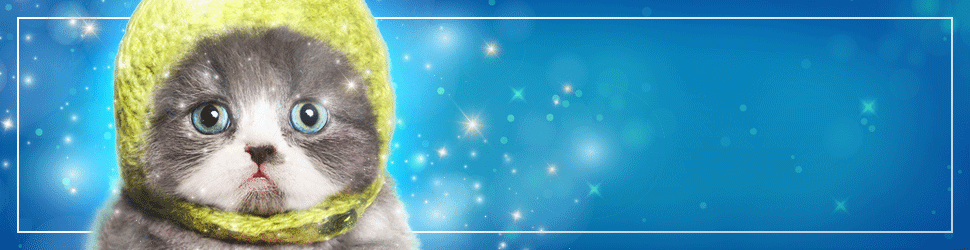 RCU2033_FebDigital_StarTribuneAd_Mittens.gif