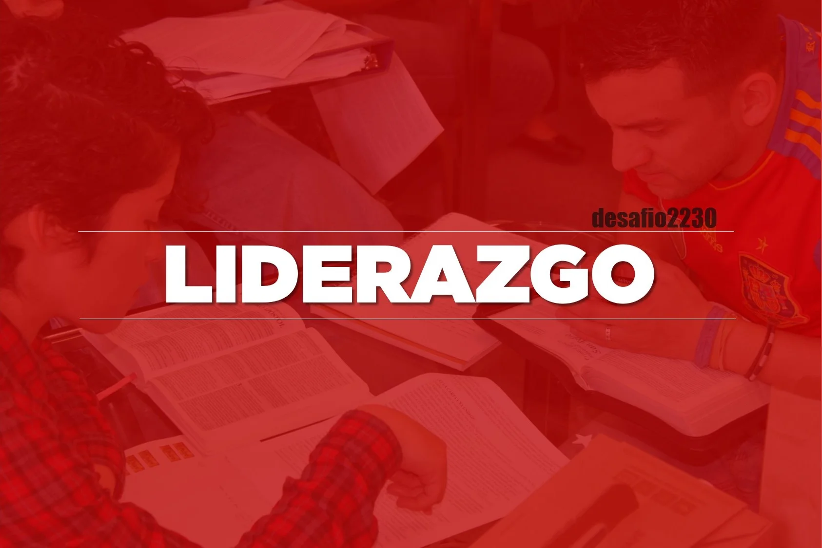 LIDER 2.jpg
