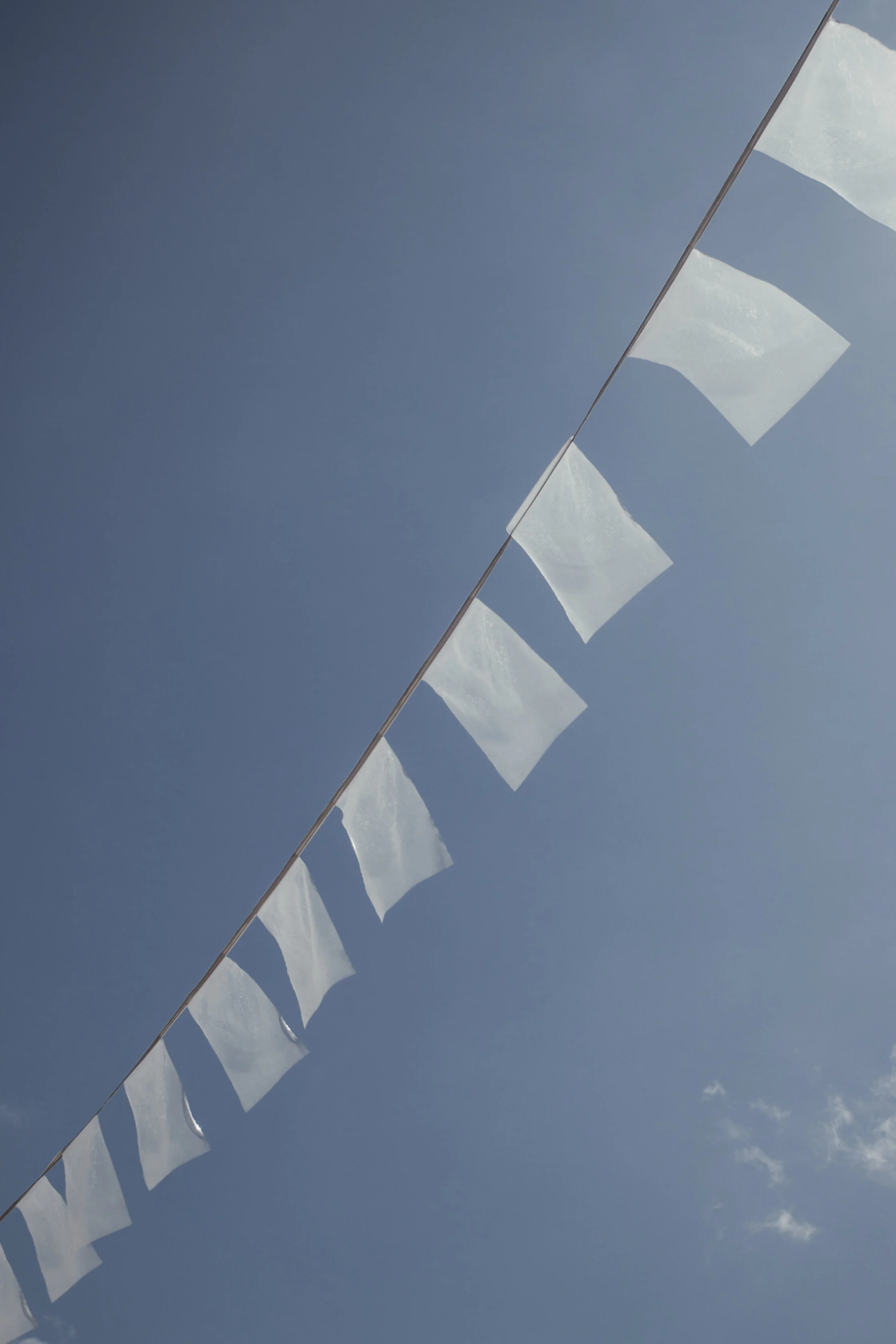 190818_bowenisland-0010383.jpg