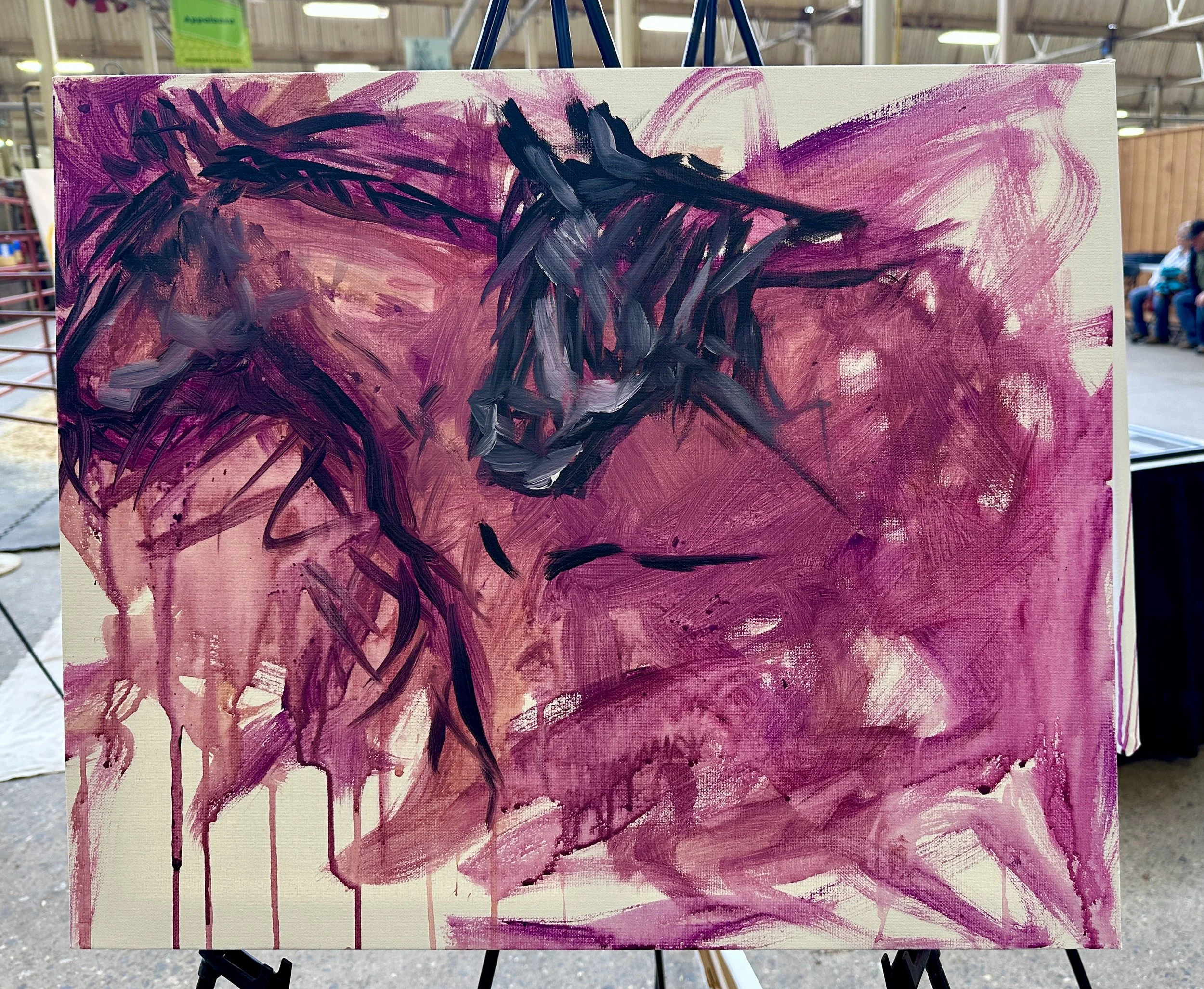 Live_MNHorseExpo_2026 (65).JPEG