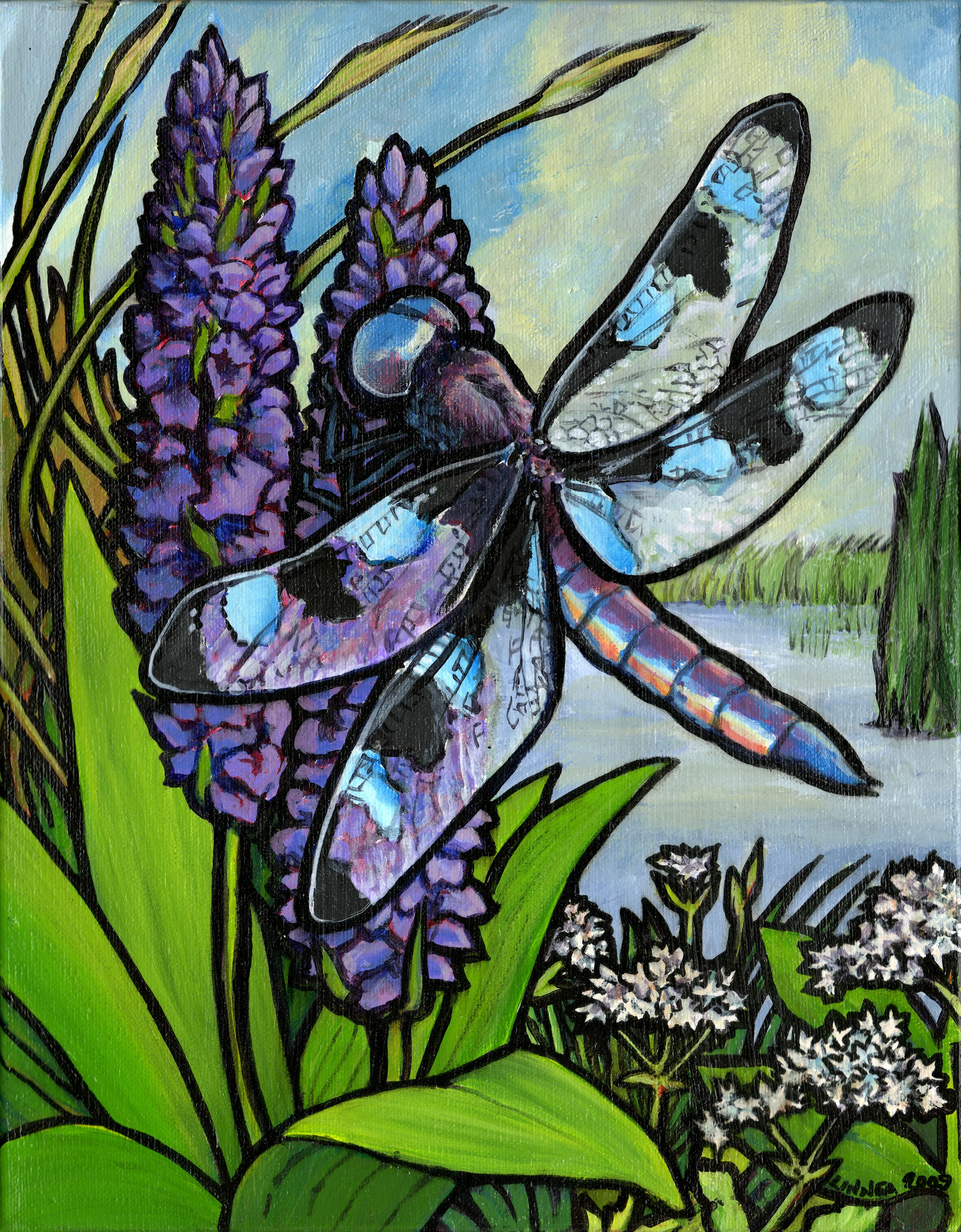 dragonfly.jpg