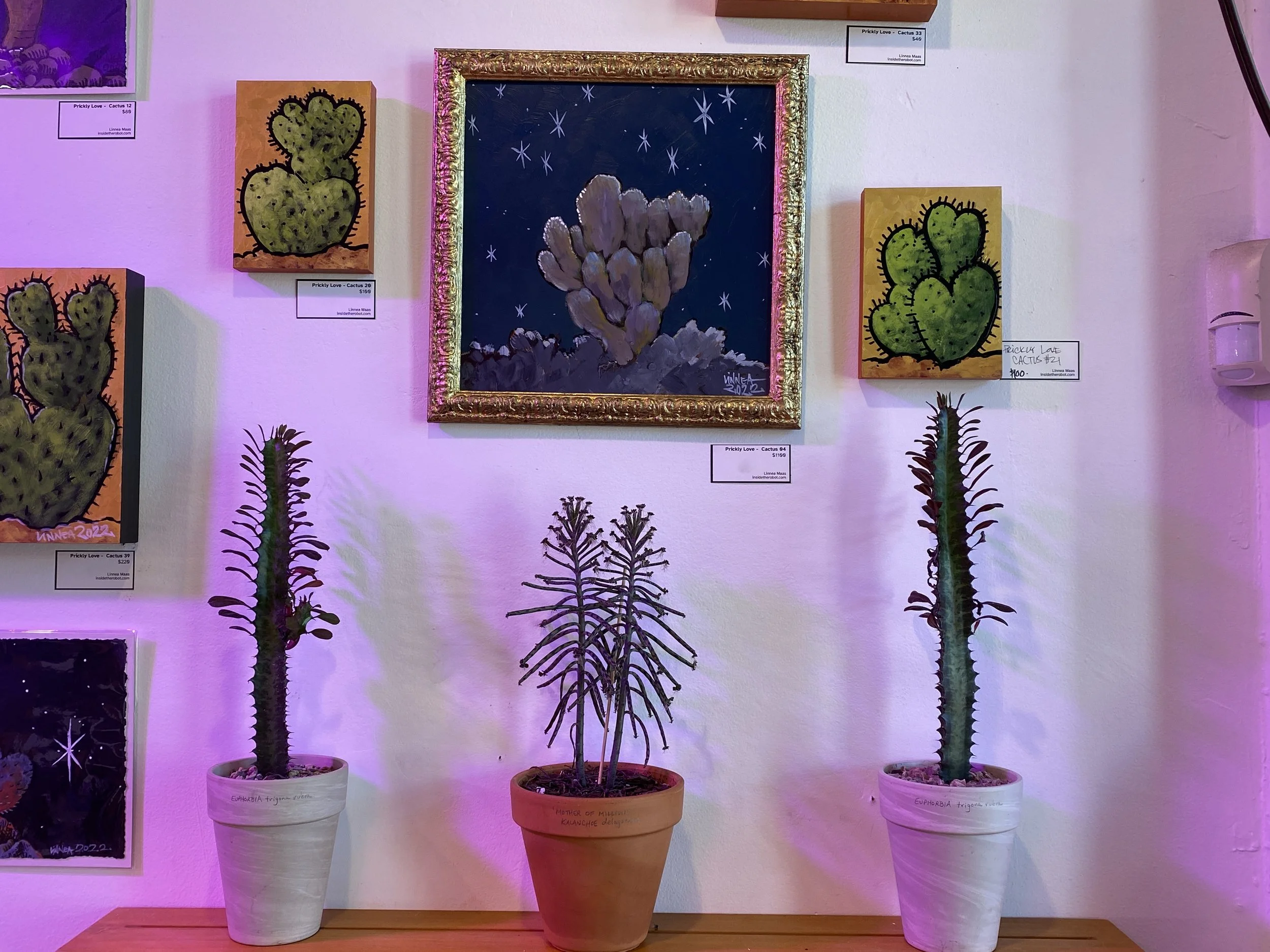 PRICKLY LOVE: Solo Exhibit at Fractal Cactus