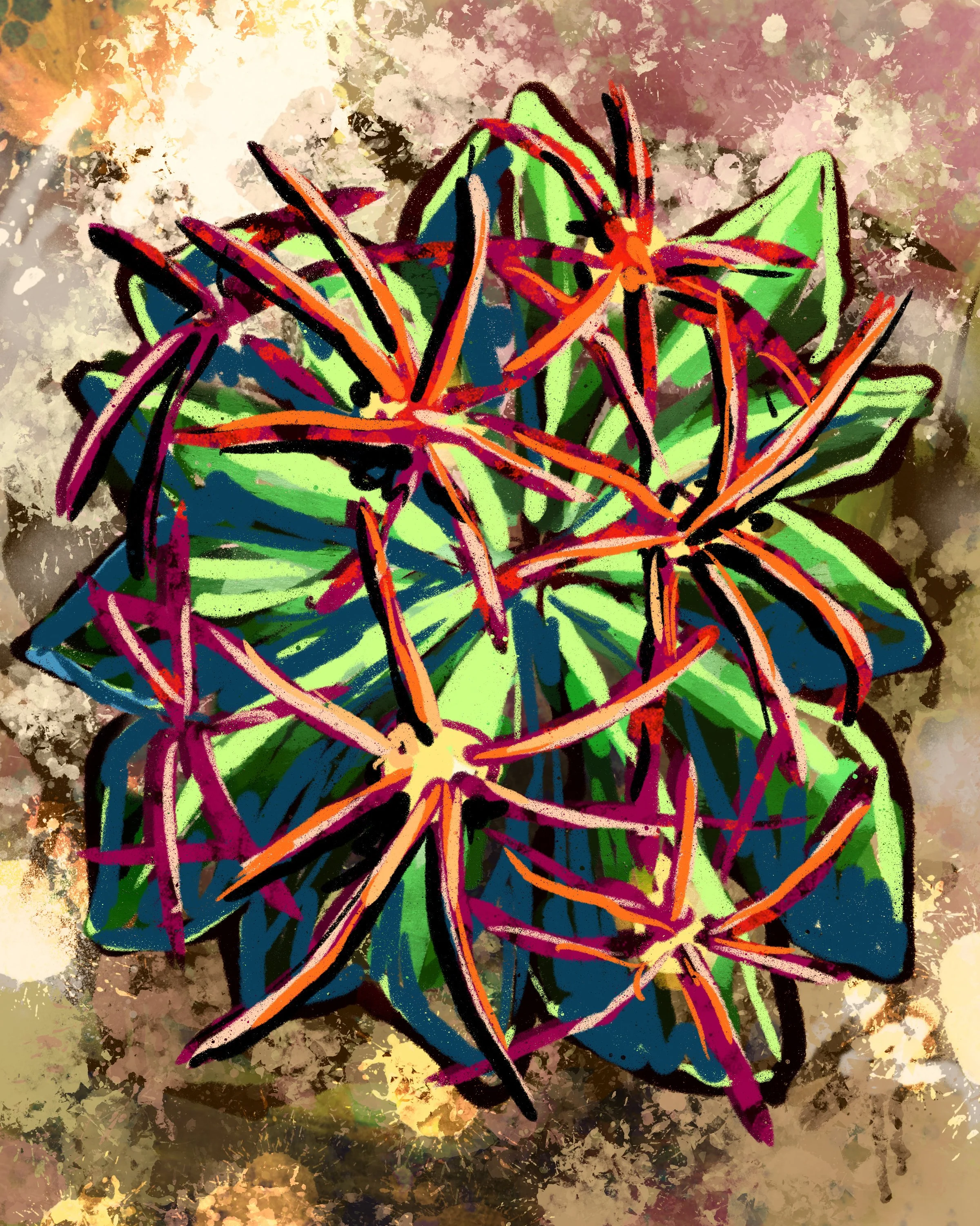 Prickly Love - Succulent - Red Spines
