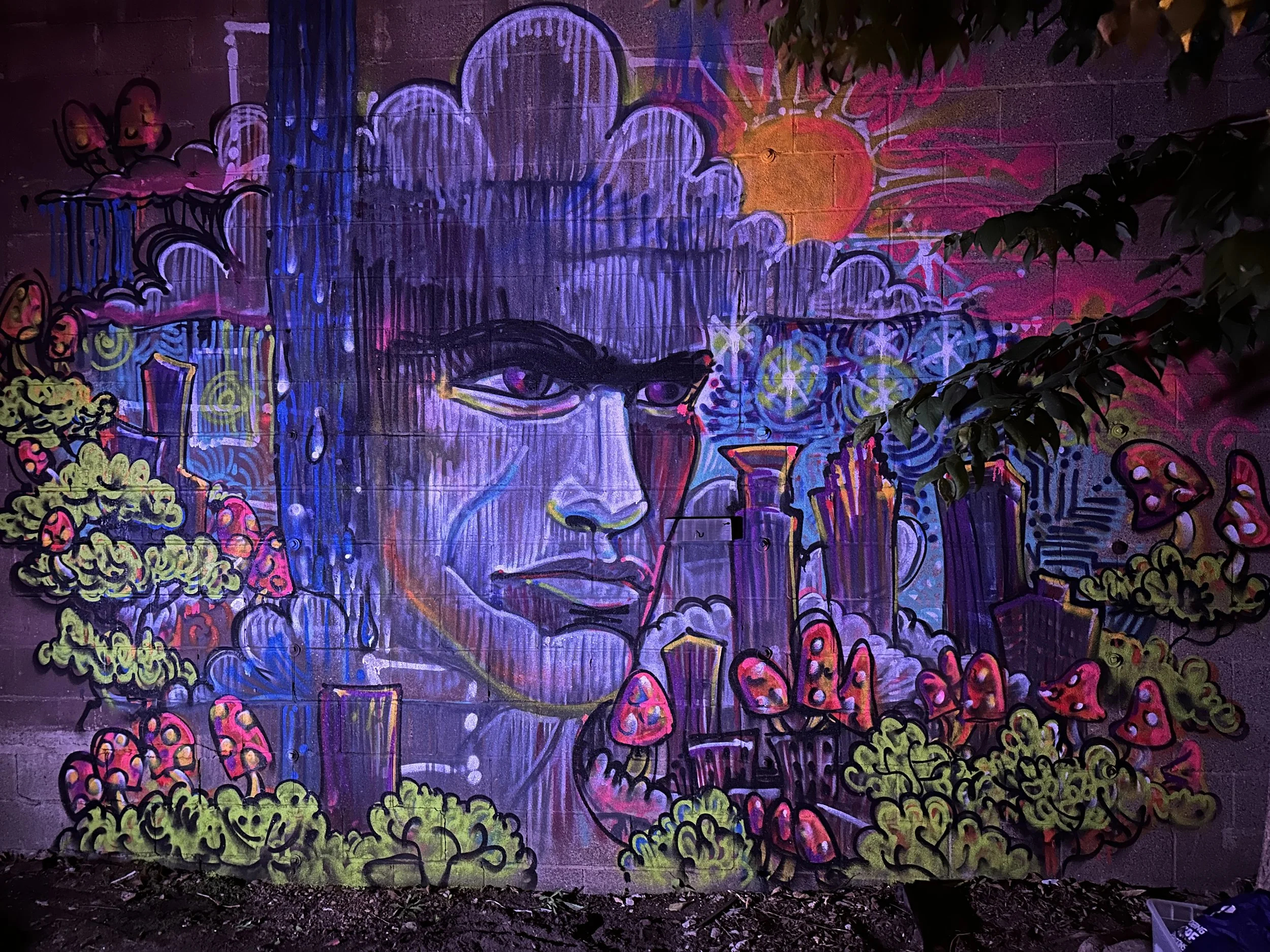Live_Mural_Anomaly (3).JPG