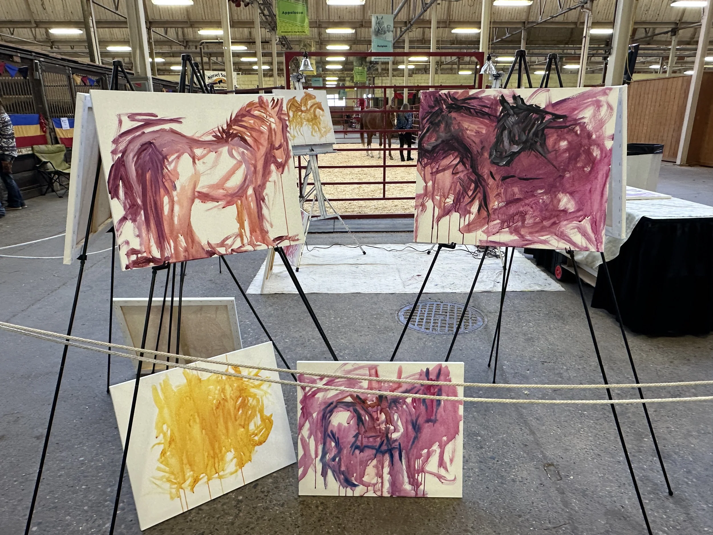 Live_MNHorseExpo_2026 (3).JPG