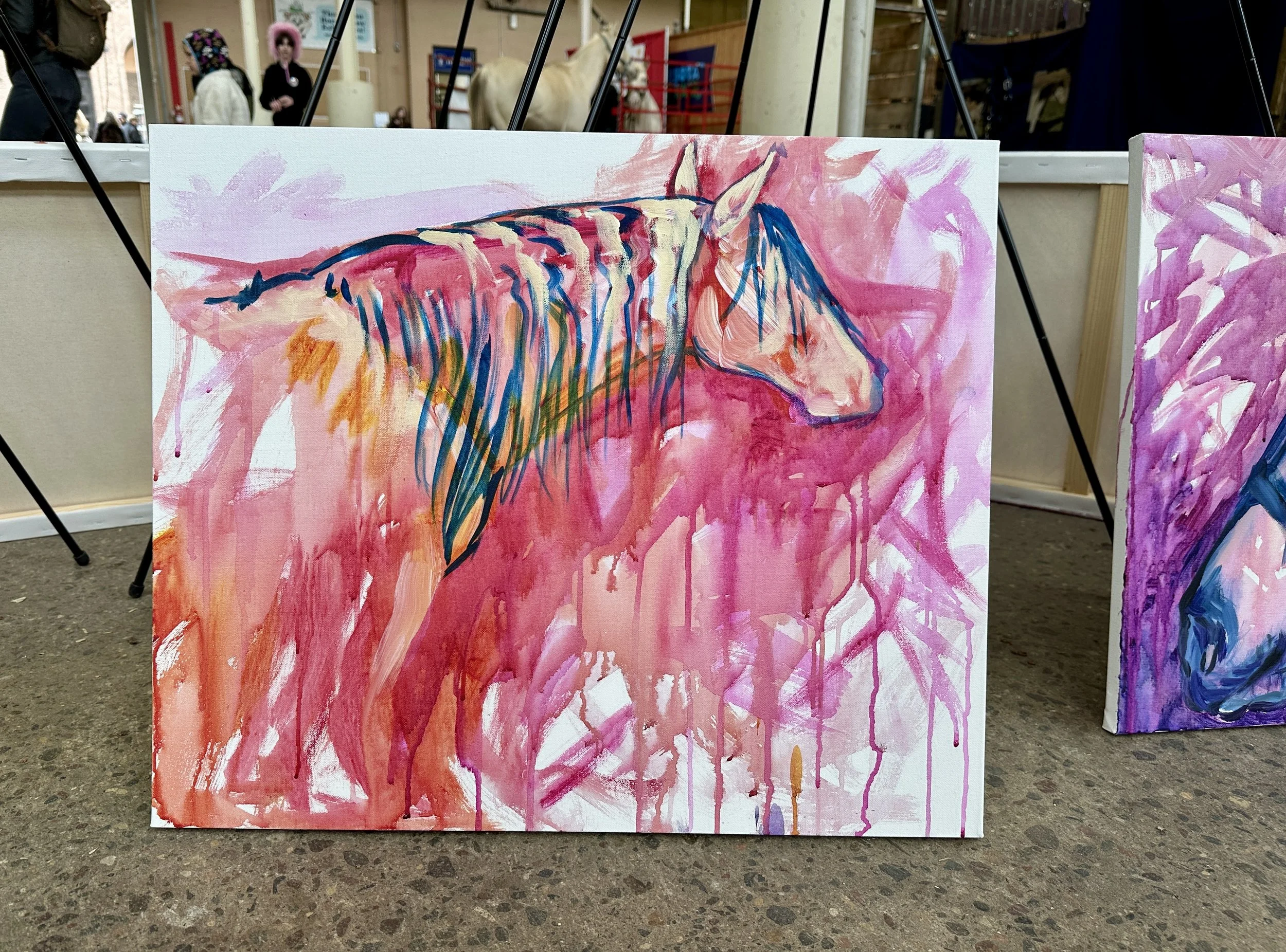 Live_MNHorseExpo_2026 (30).JPEG