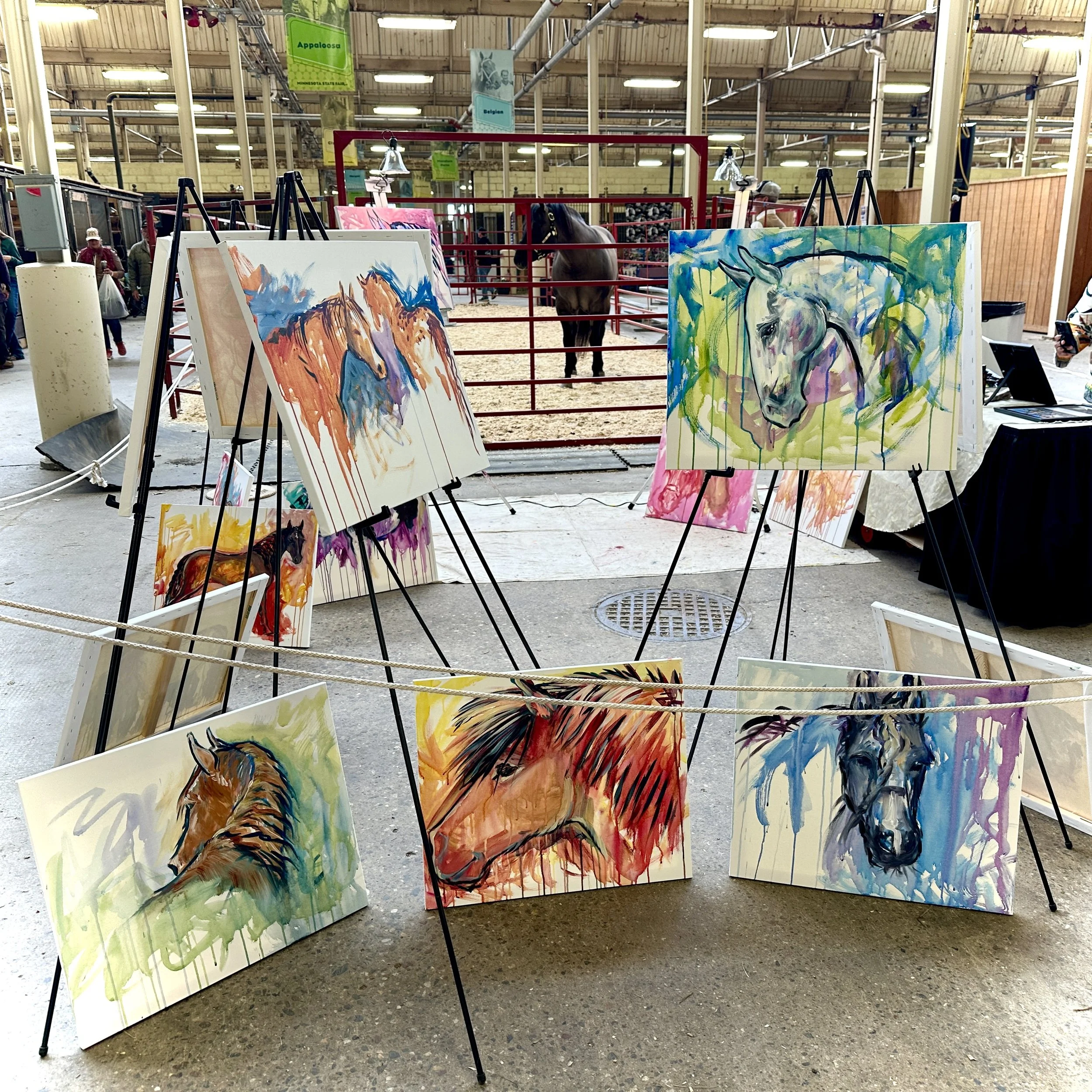 Live_MNHorseExpo_2026 (49).JPEG