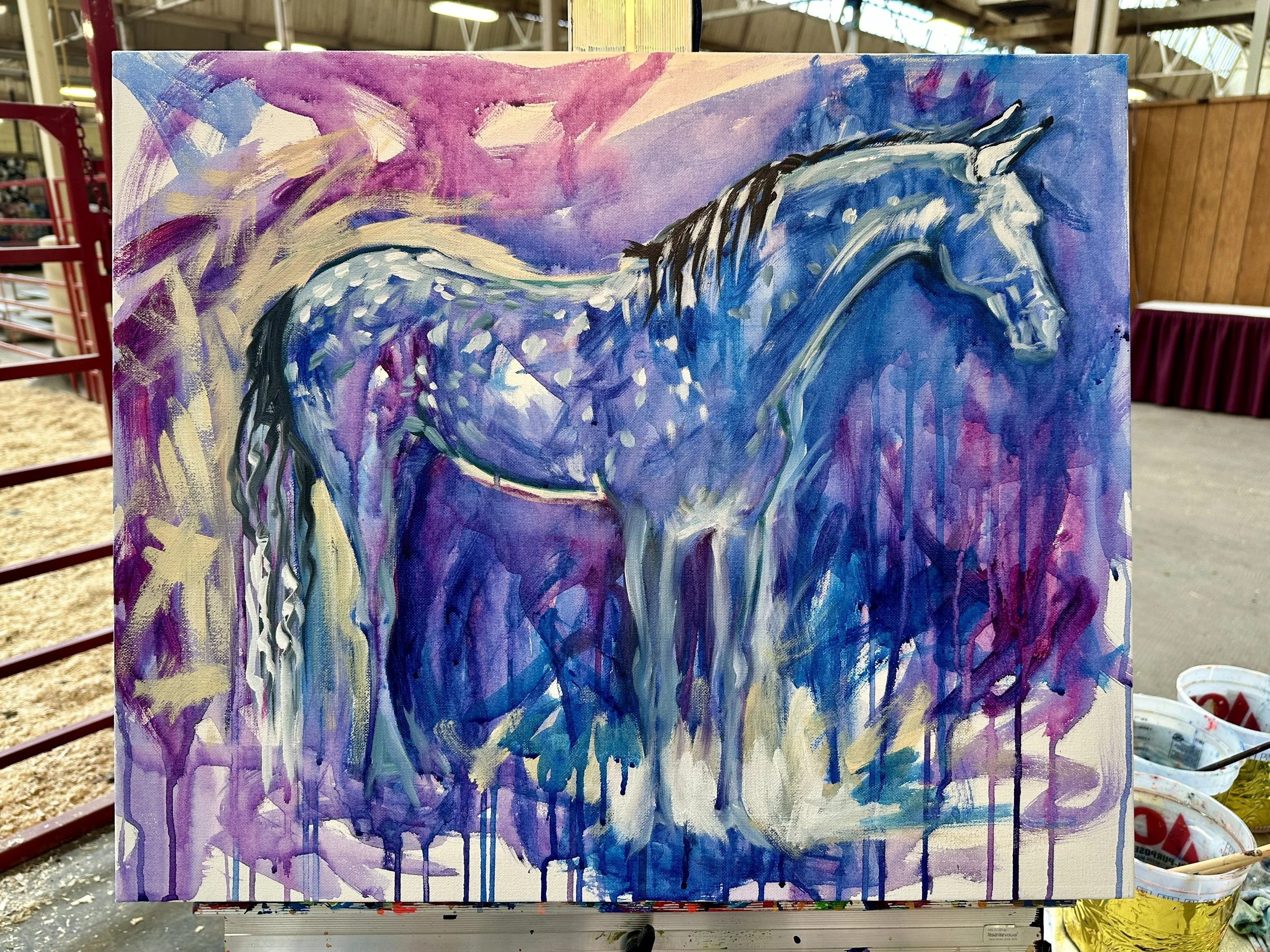 Live_MNHorseExpo_2026 (29).JPEG