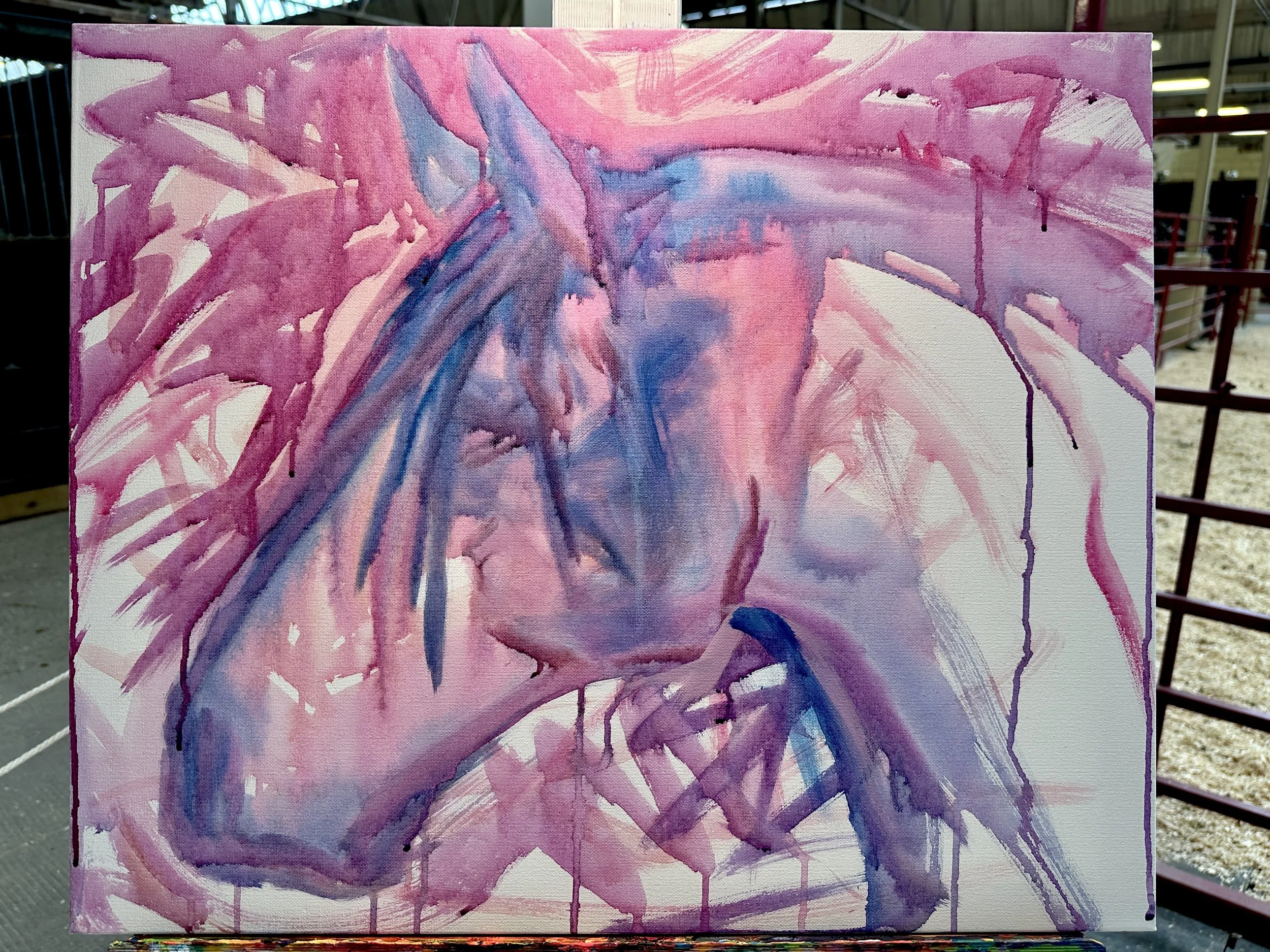 Live_MNHorseExpo_2026 (55).JPEG