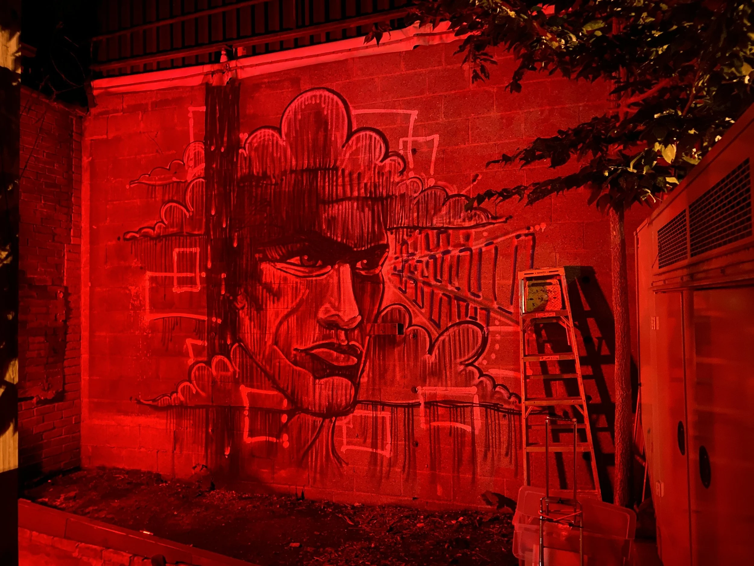 mural_anomaly-wip (4).JPG