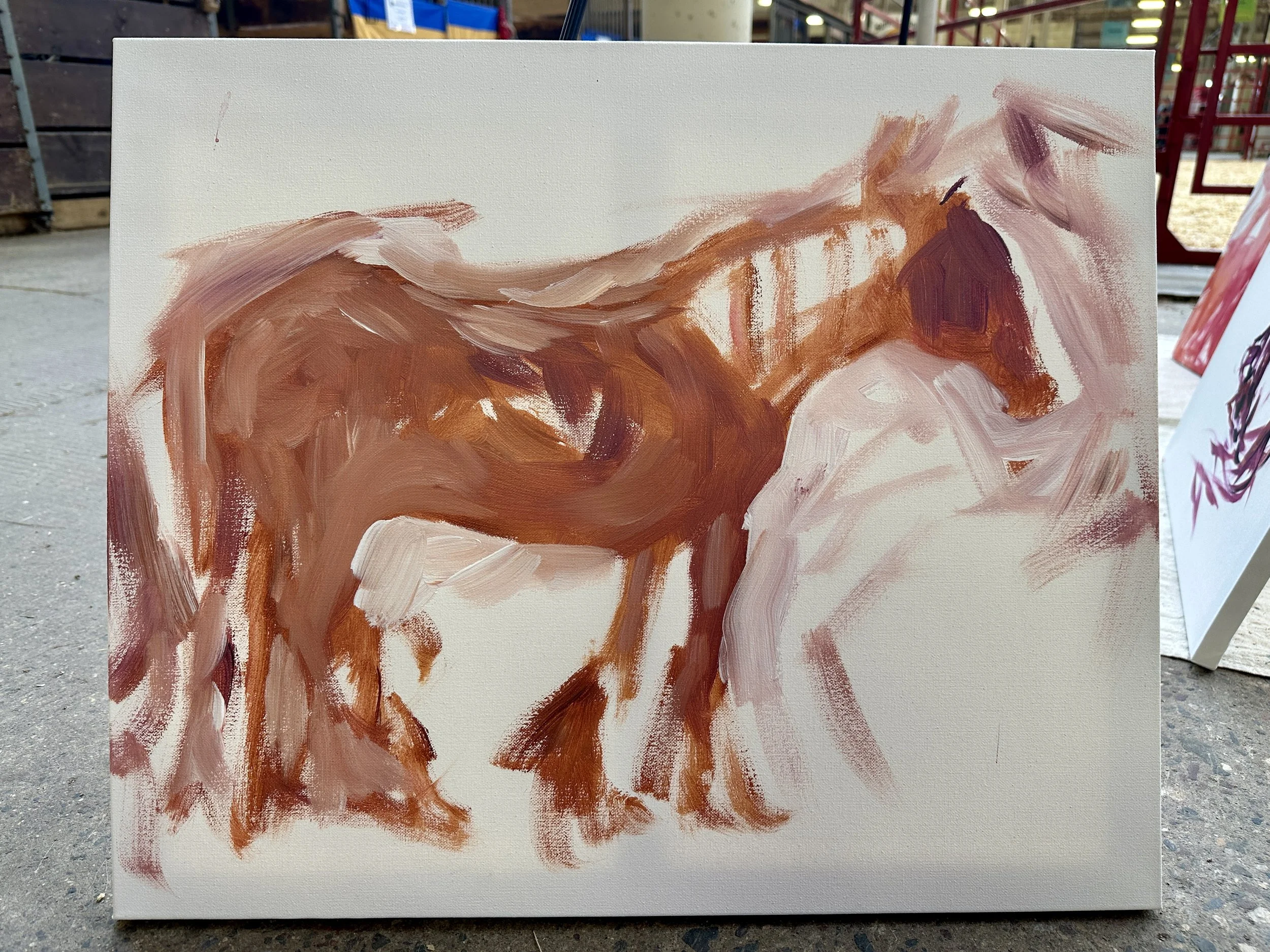 Live_MNHorseExpo_2026 (59).JPEG