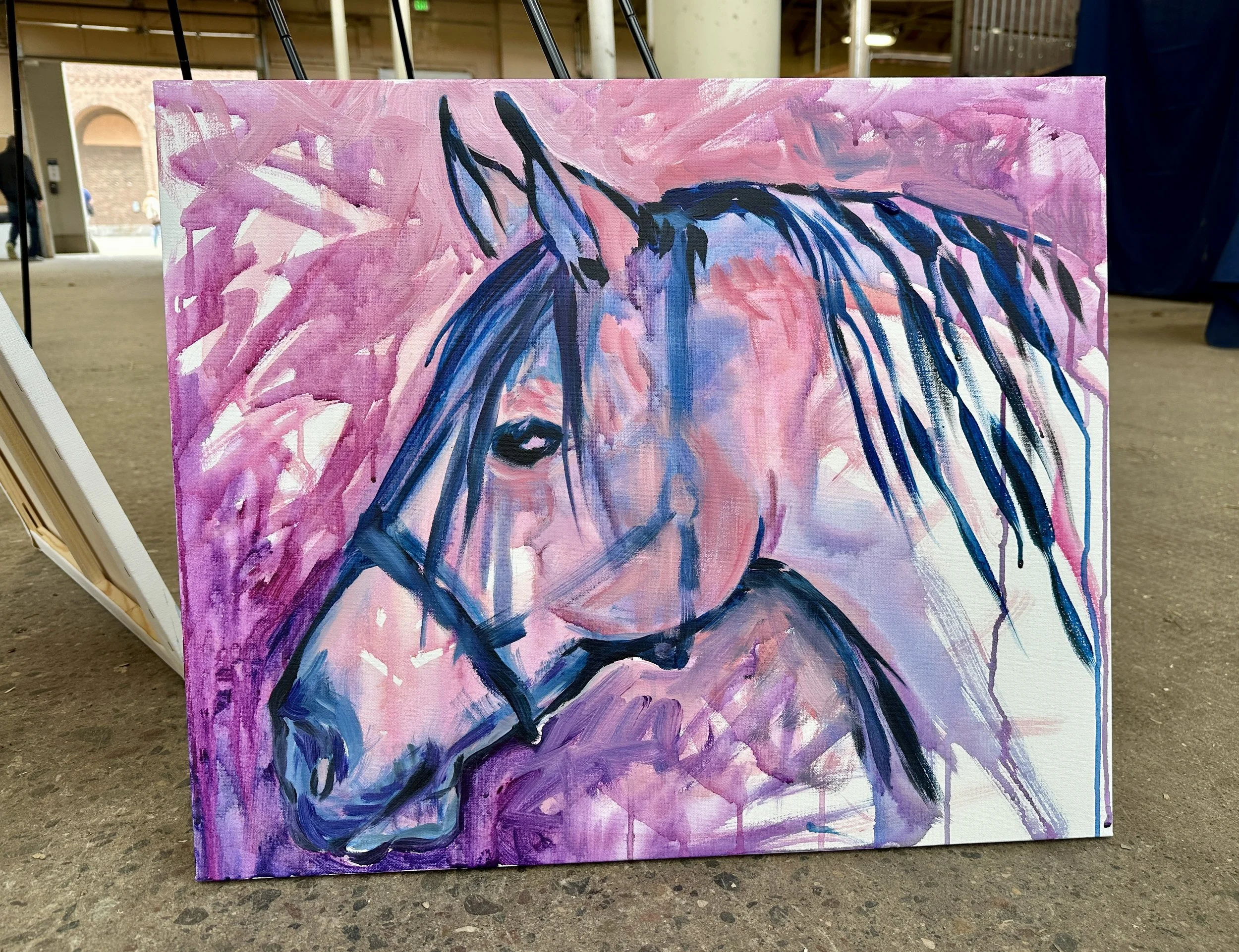 Live_MNHorseExpo_2026 (31).JPEG