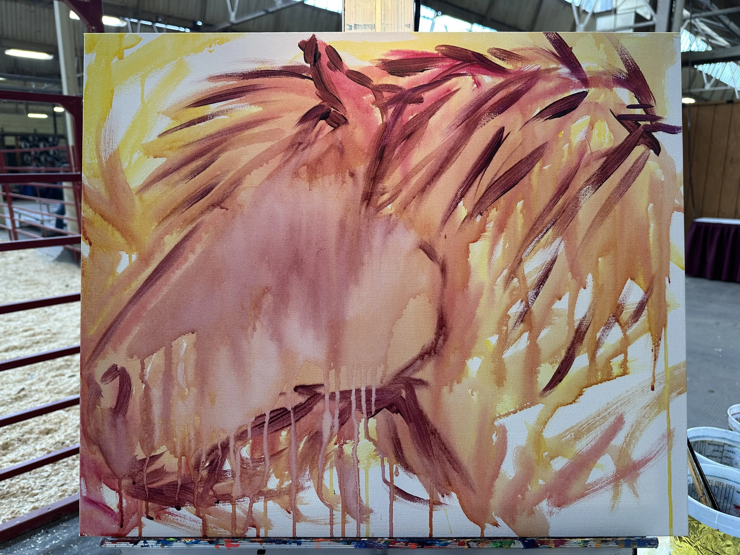 Live_MNHorseExpo_2026 (6).JPG