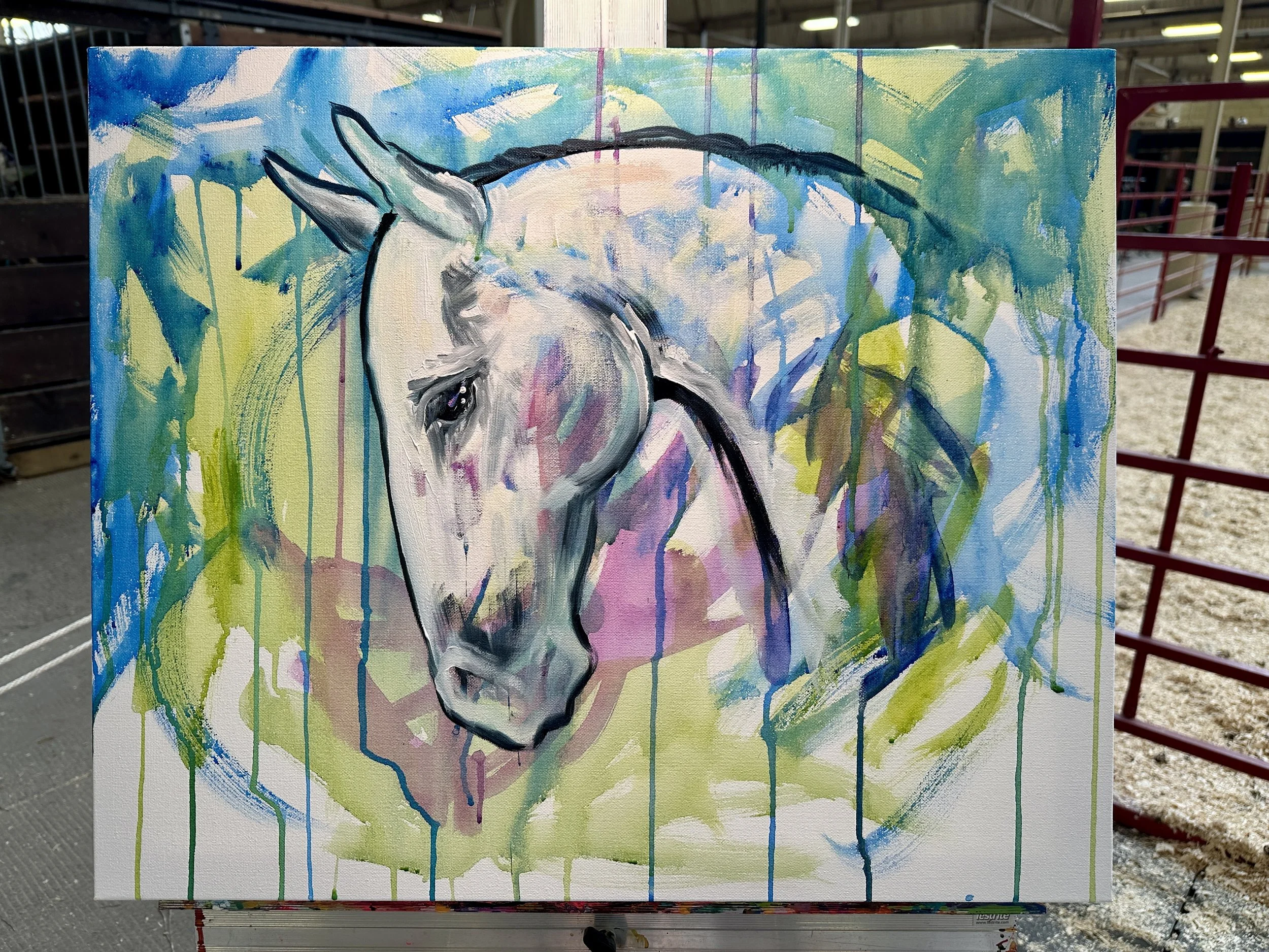 Live_MNHorseExpo_2026 (28).JPEG