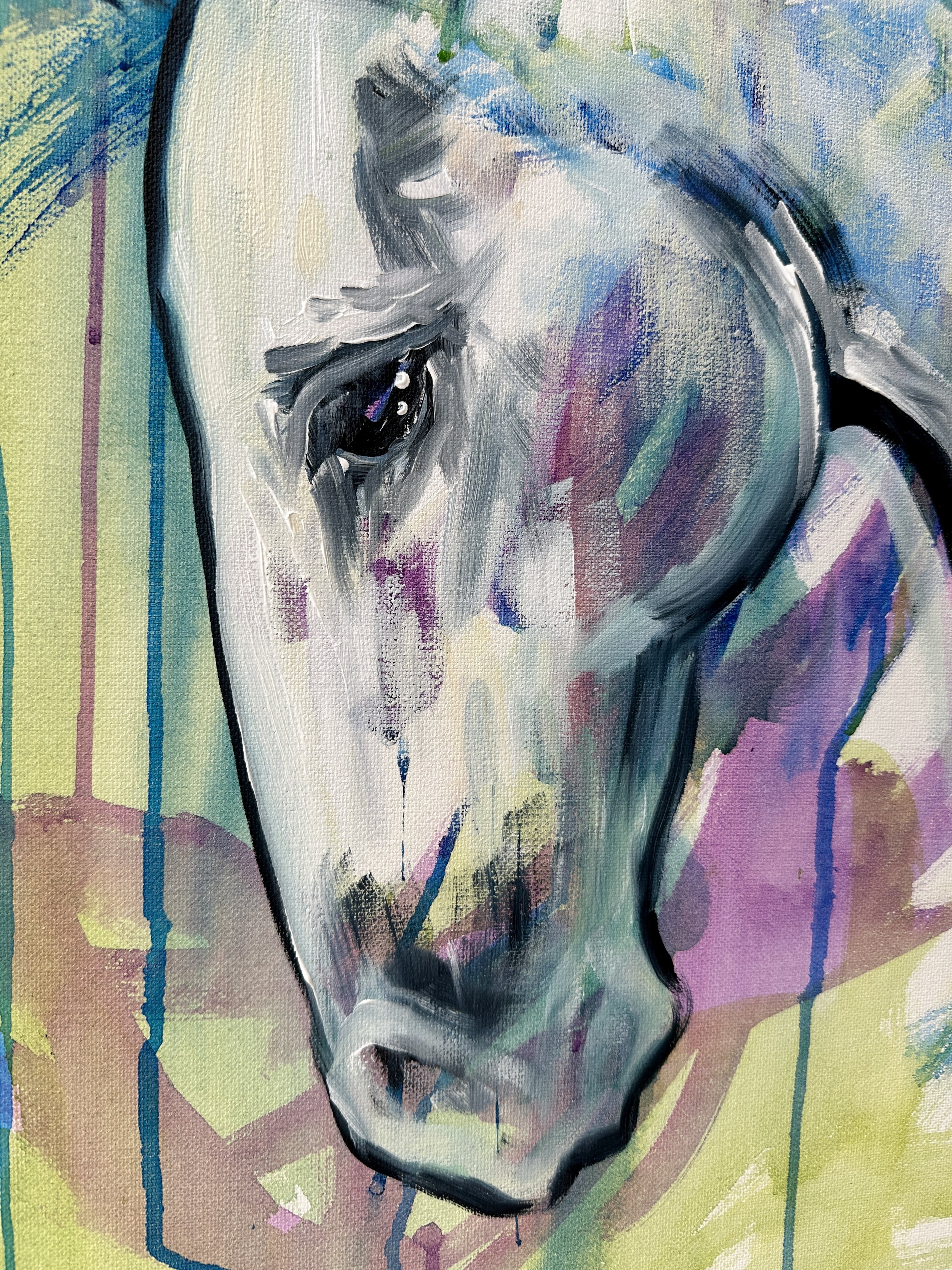 Live_MNHorseExpo_2026 (35).JPEG