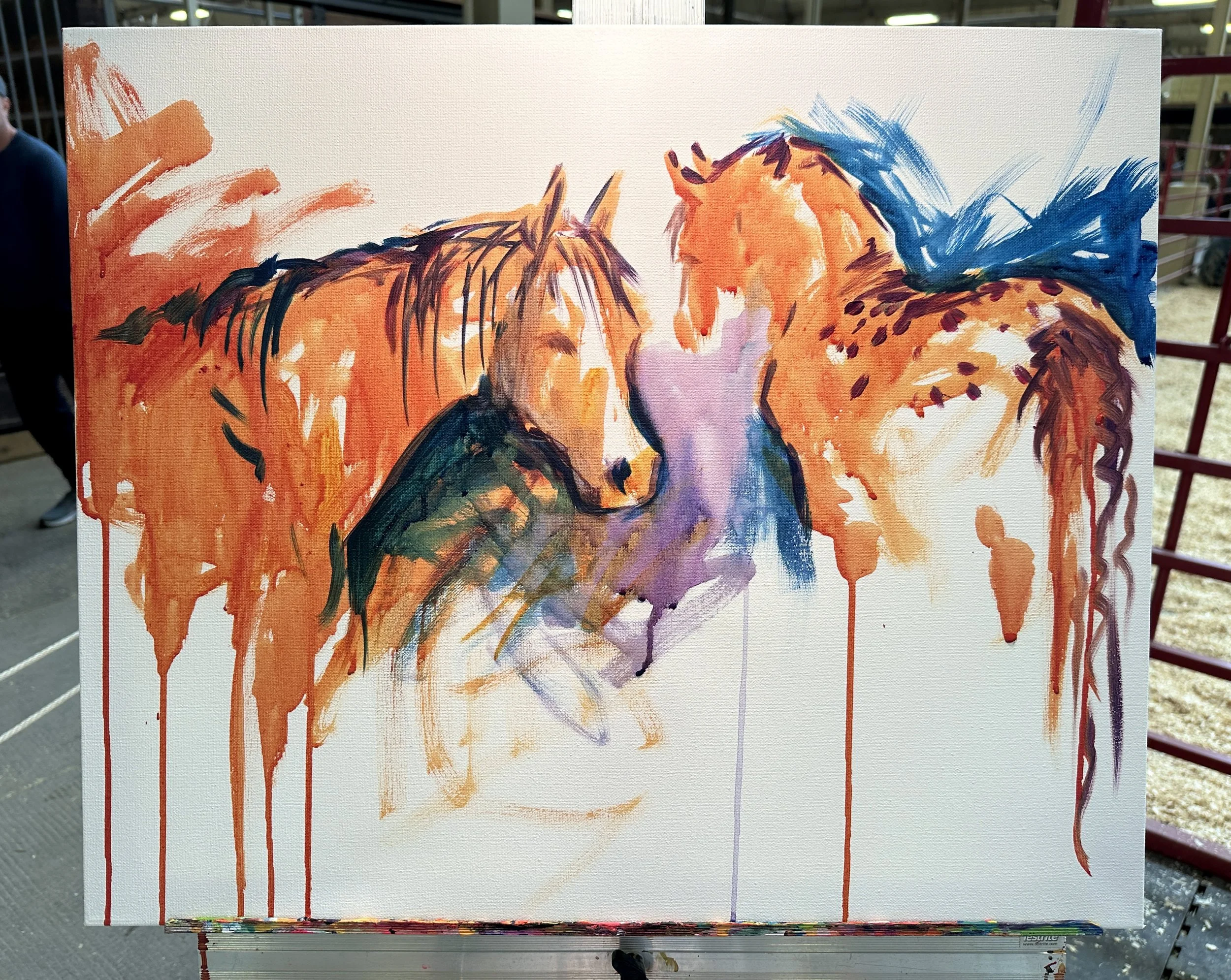 Live_MNHorseExpo_2026 (5).JPEG