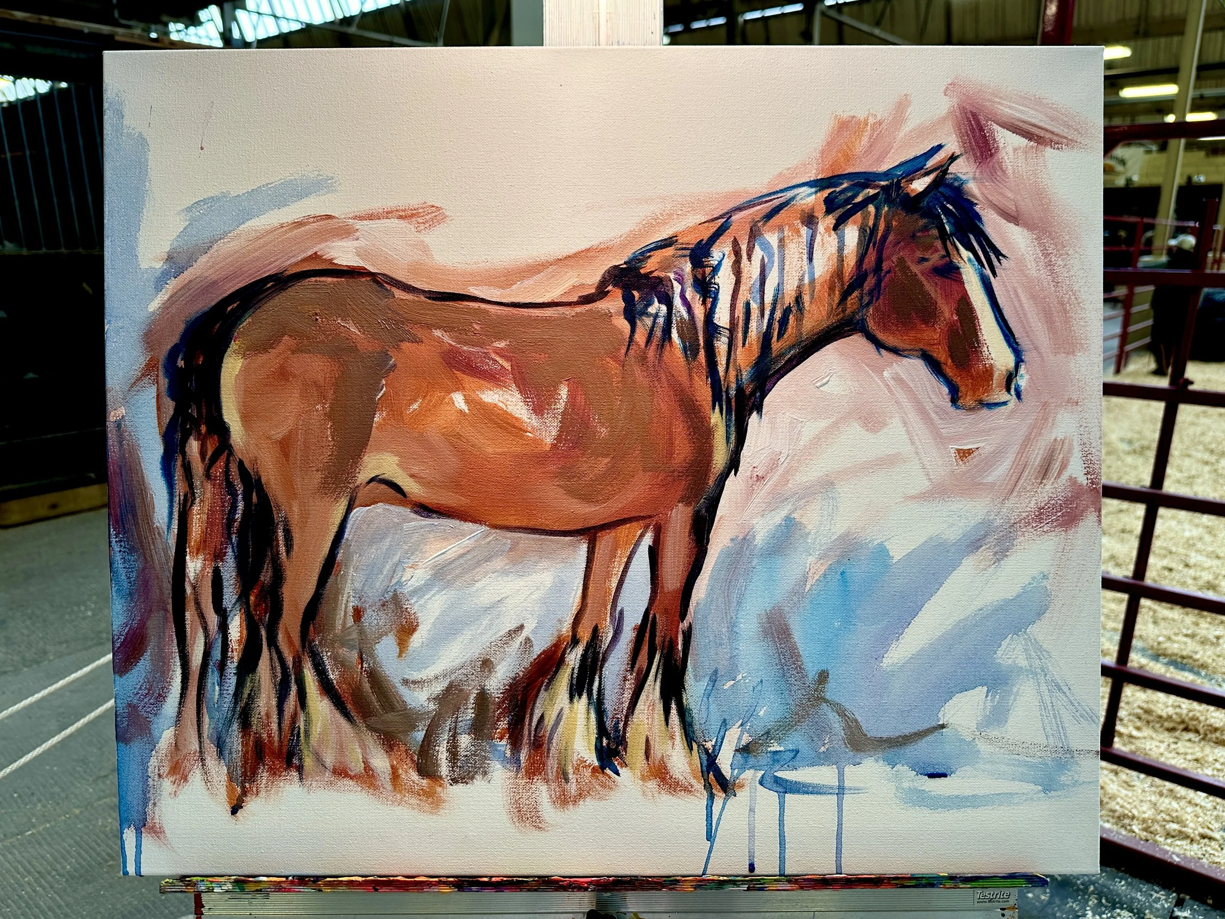 Live_MNHorseExpo_2026 (67).JPEG