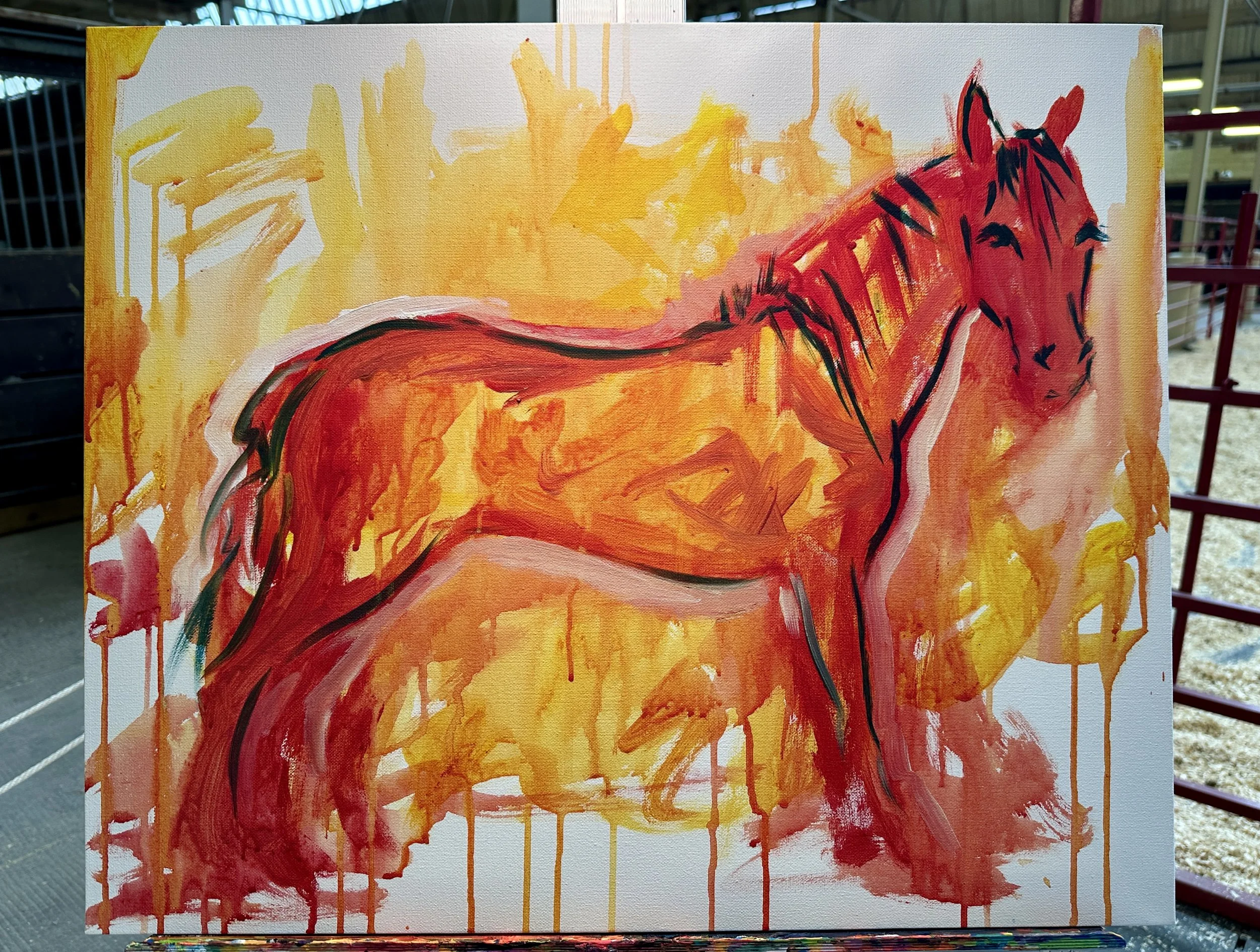 Live_MNHorseExpo_2026 (19).JPEG