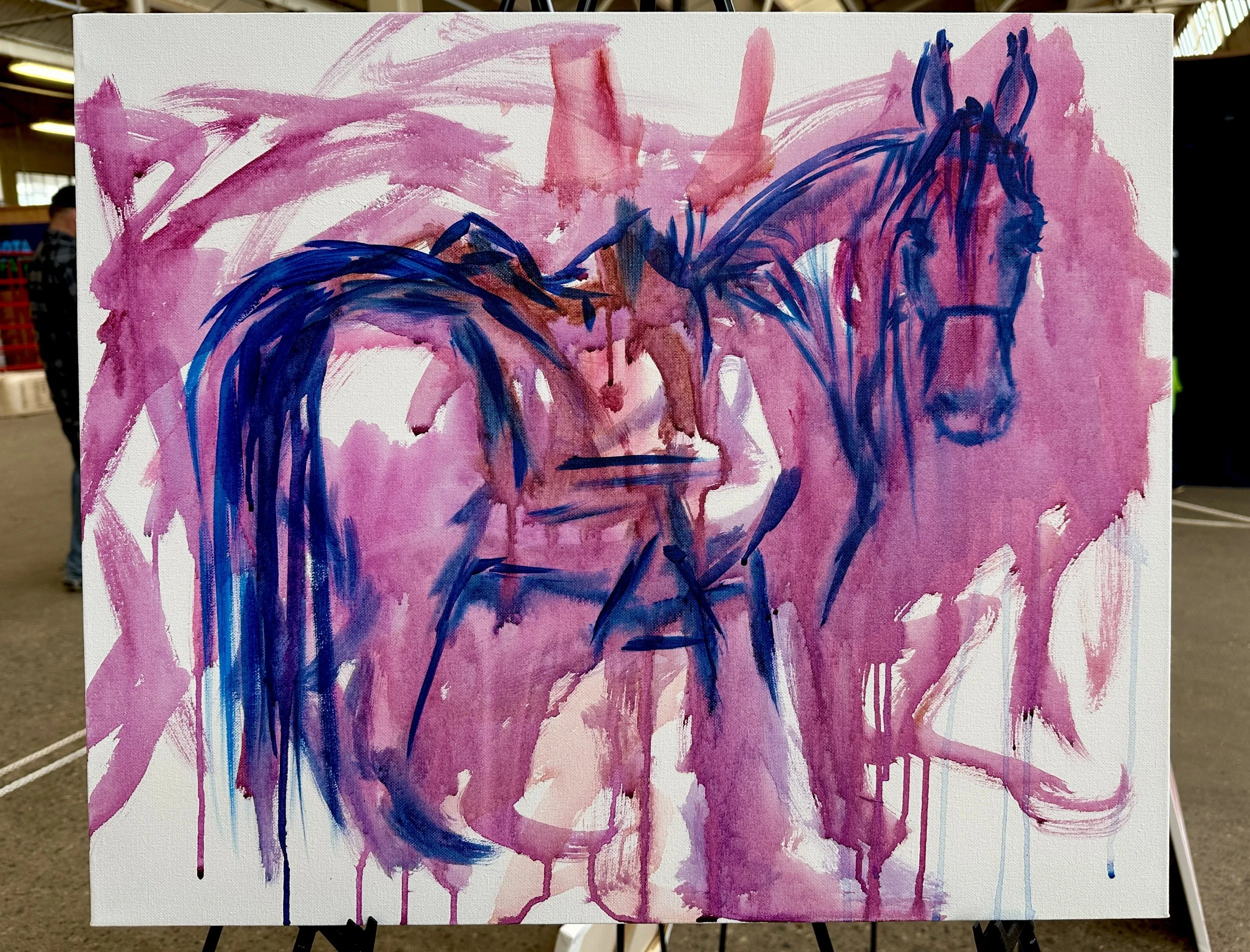 Live_MNHorseExpo_2026 (62).JPEG