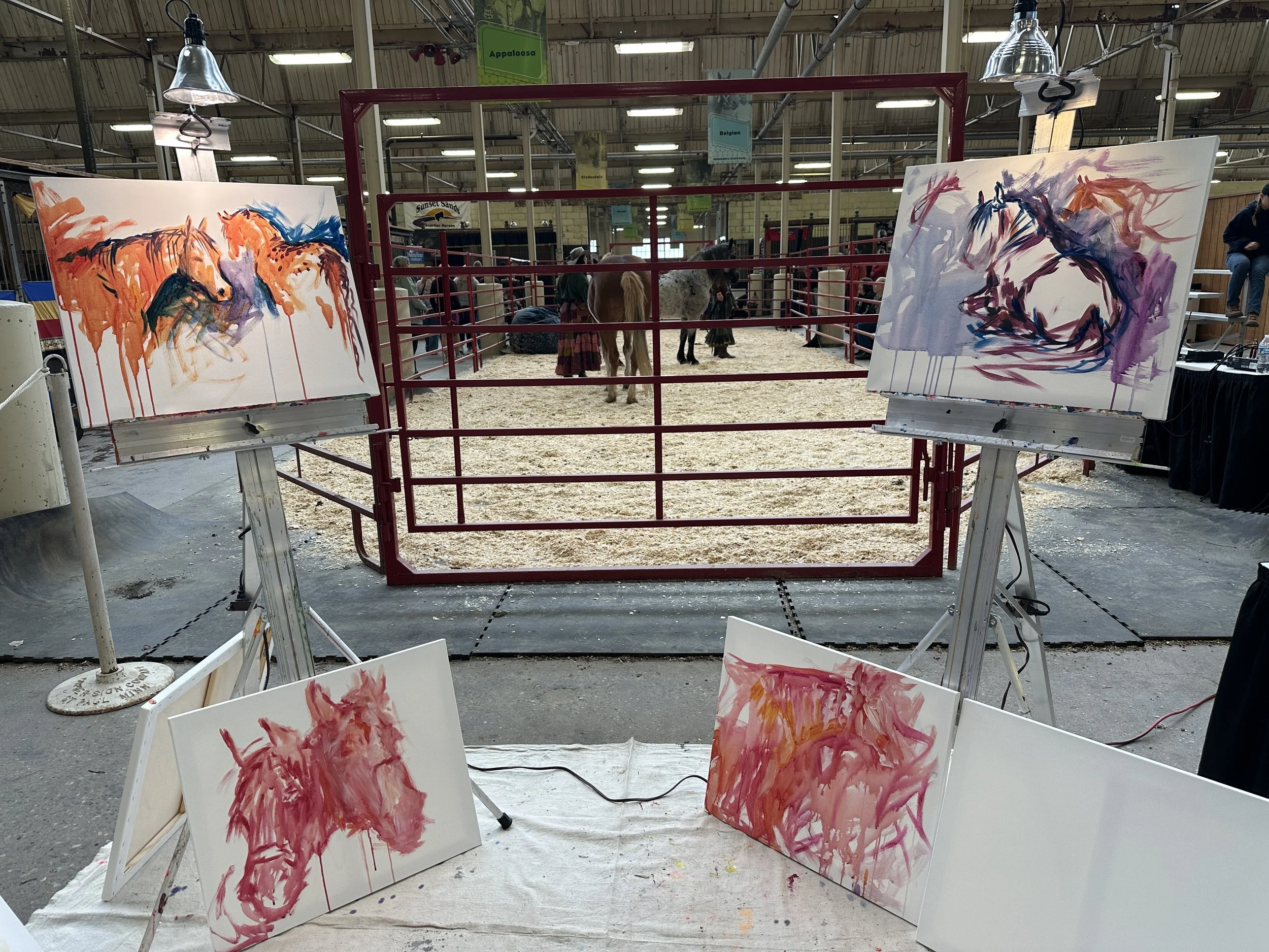 Live_MNHorseExpo_2026 (9).JPG