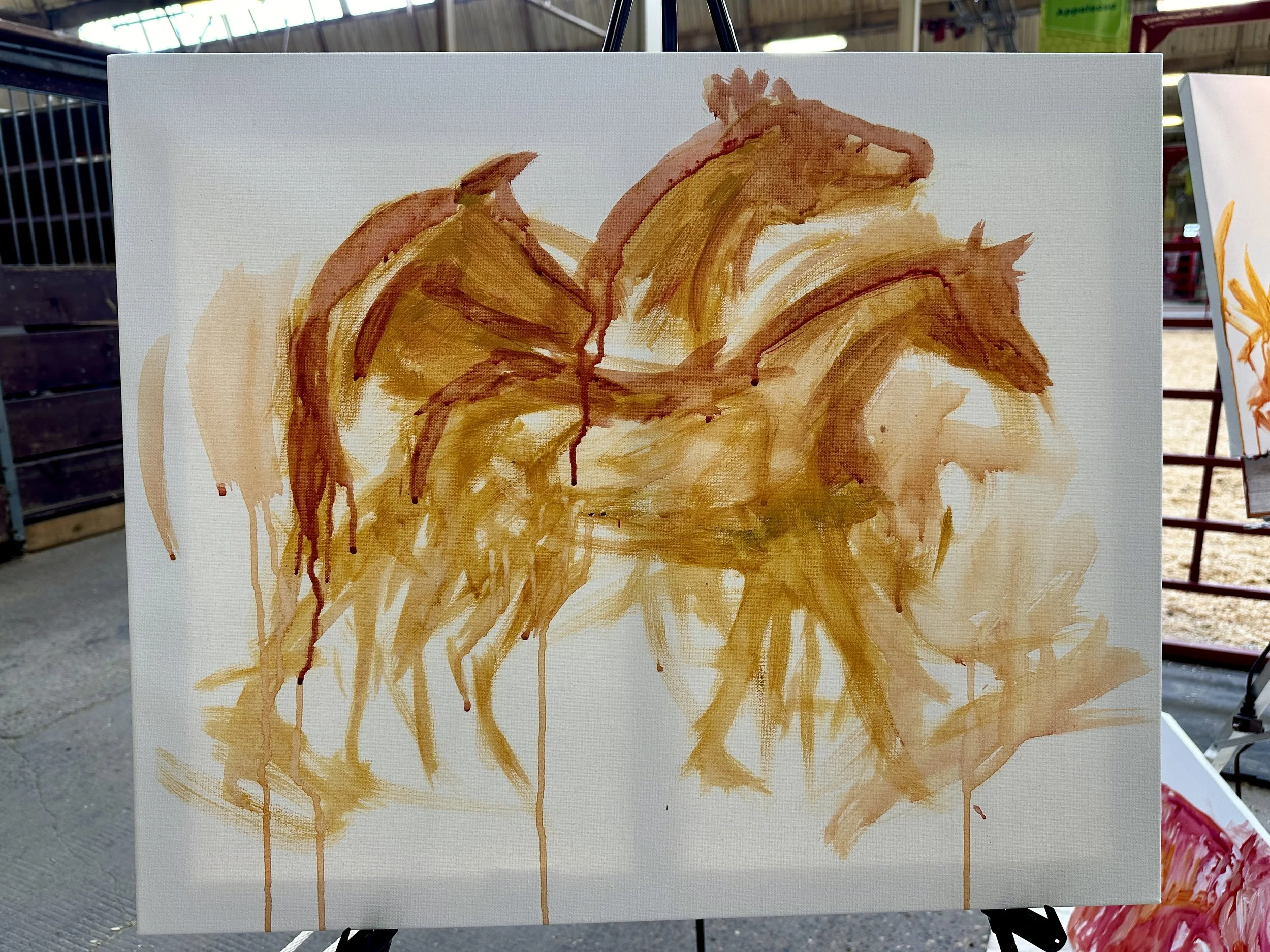 Live_MNHorseExpo_2026 (58).JPEG