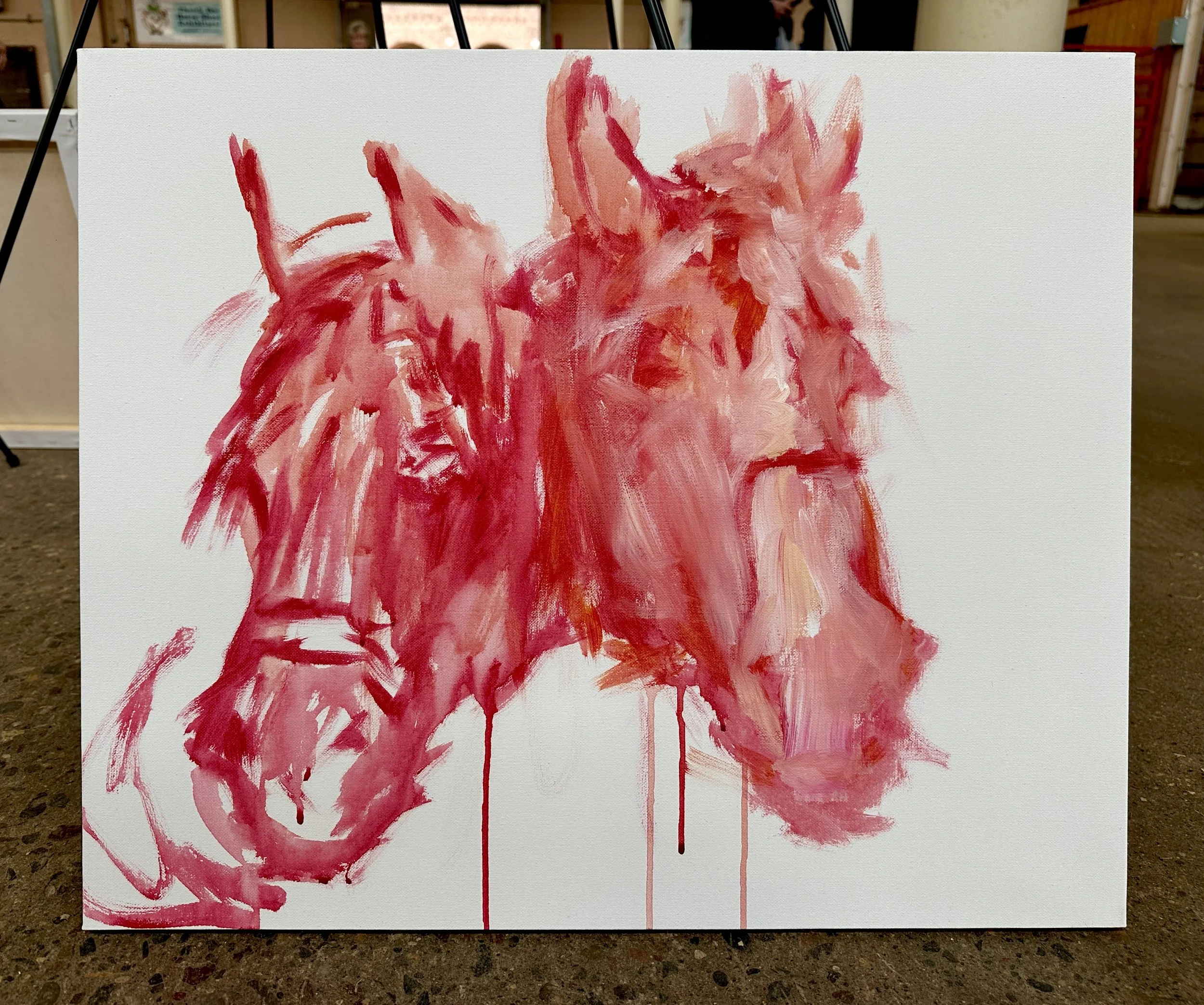 Live_MNHorseExpo_2026 (61).JPEG