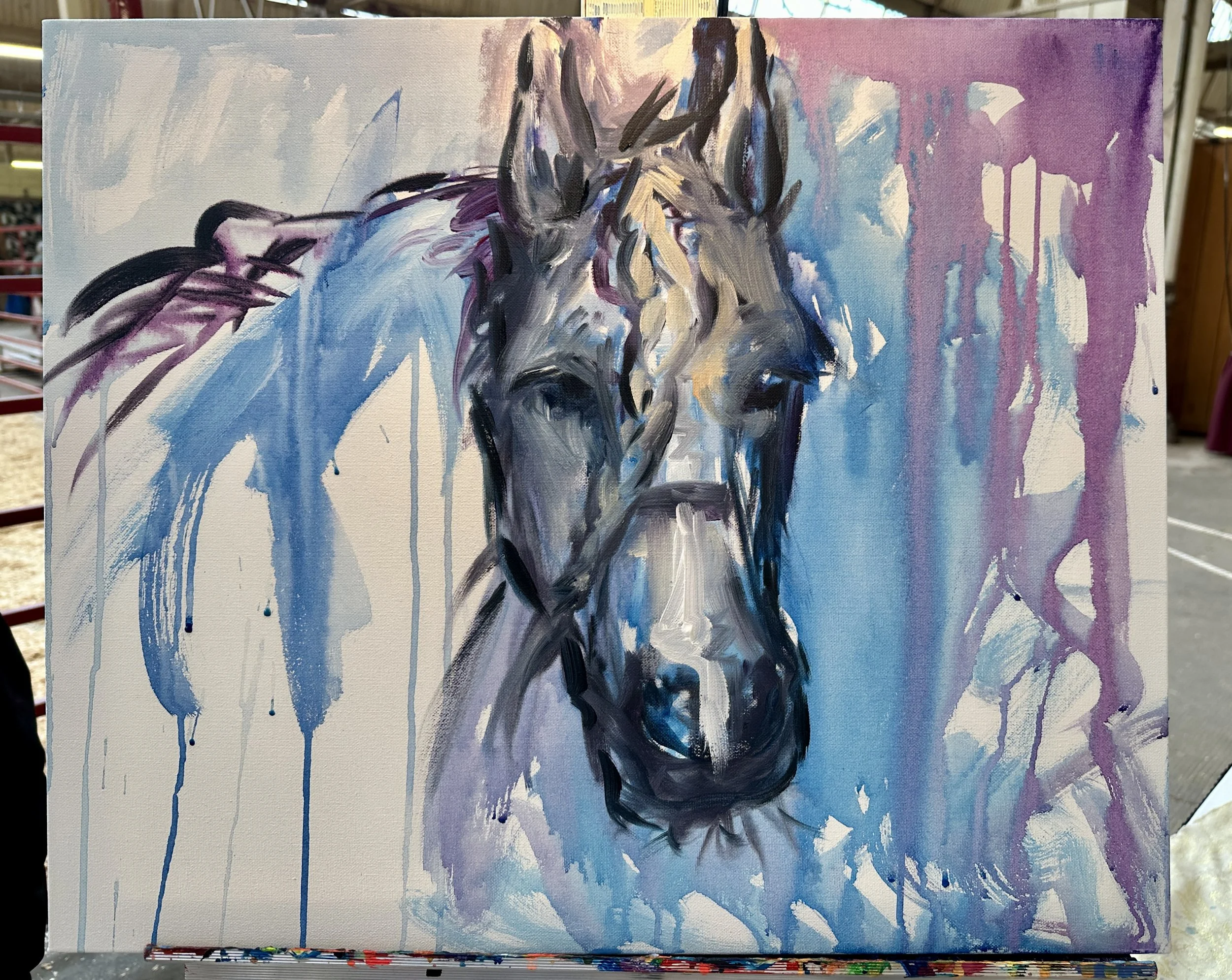 Live_MNHorseExpo_2026 (20).JPEG