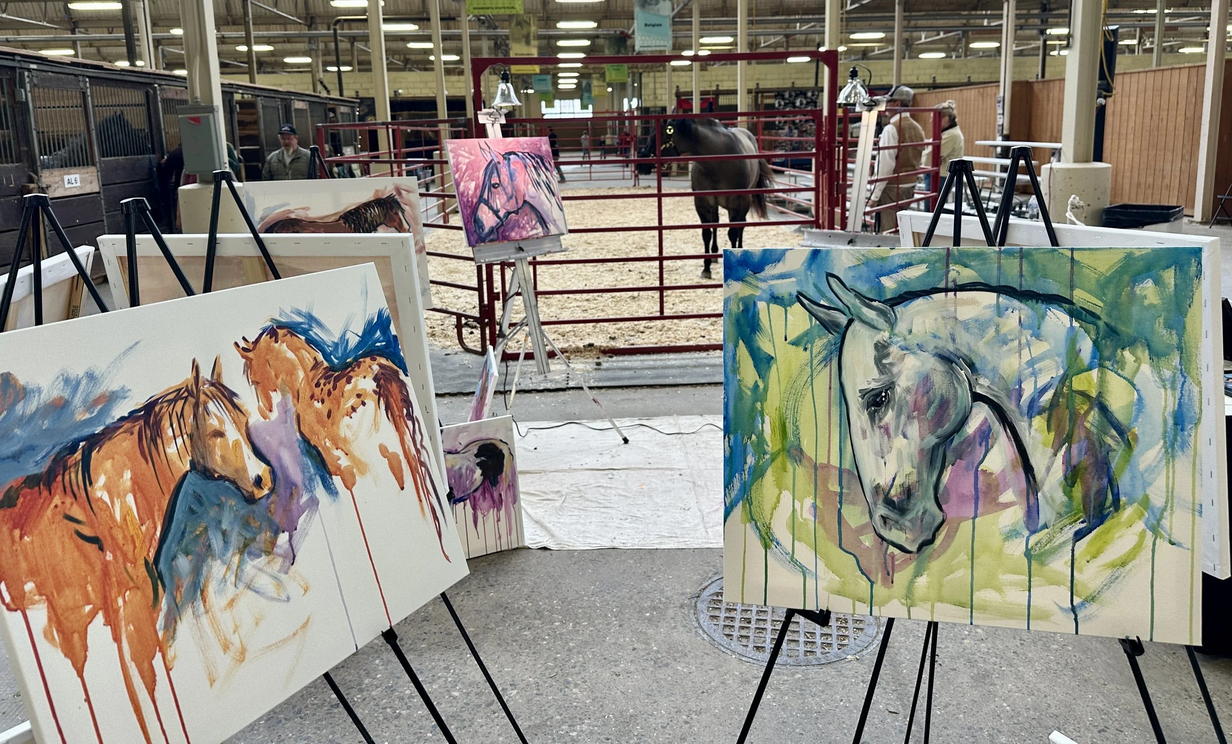 Live_MNHorseExpo_2026 (50).JPEG