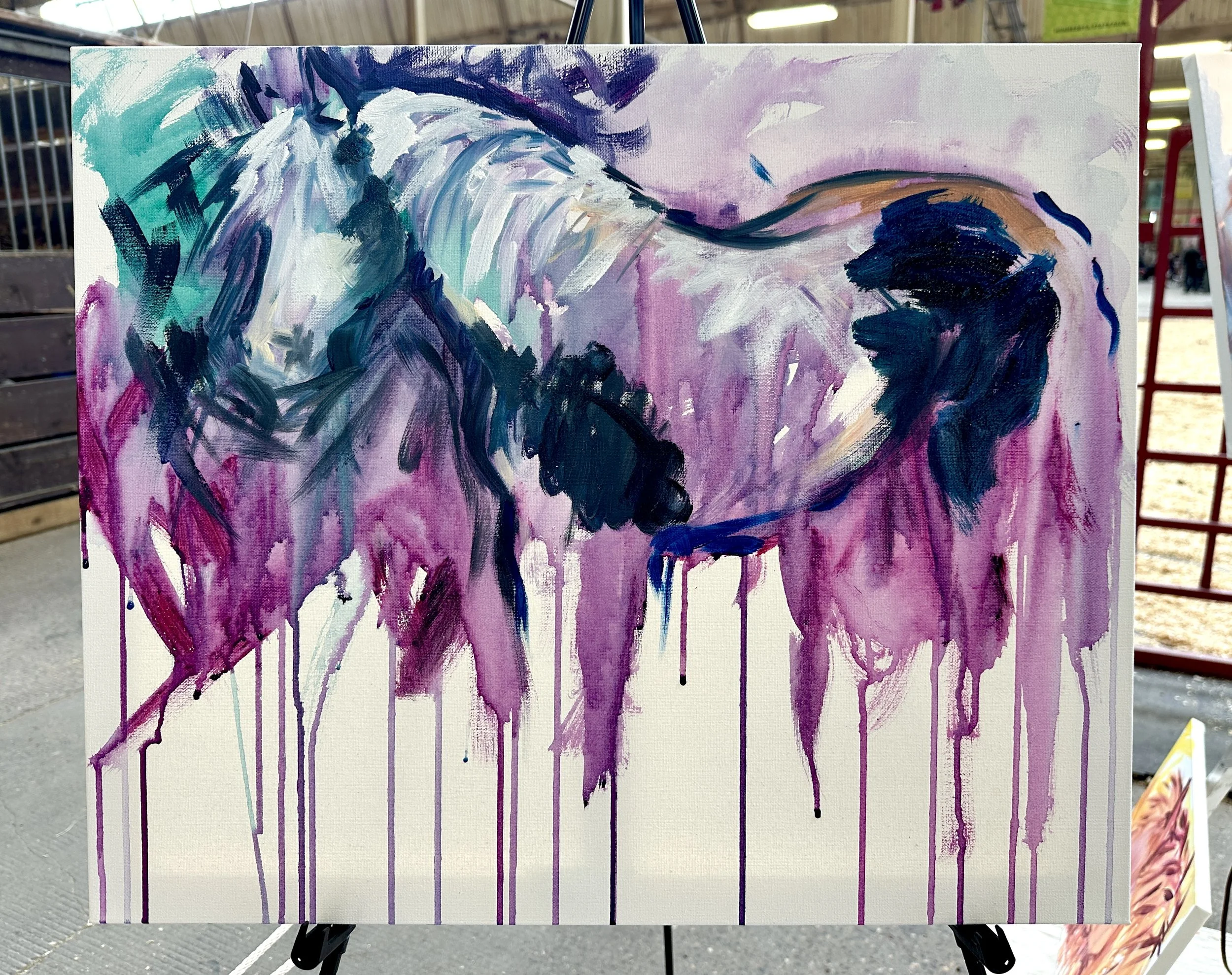 Live_MNHorseExpo_2026 (66).JPEG