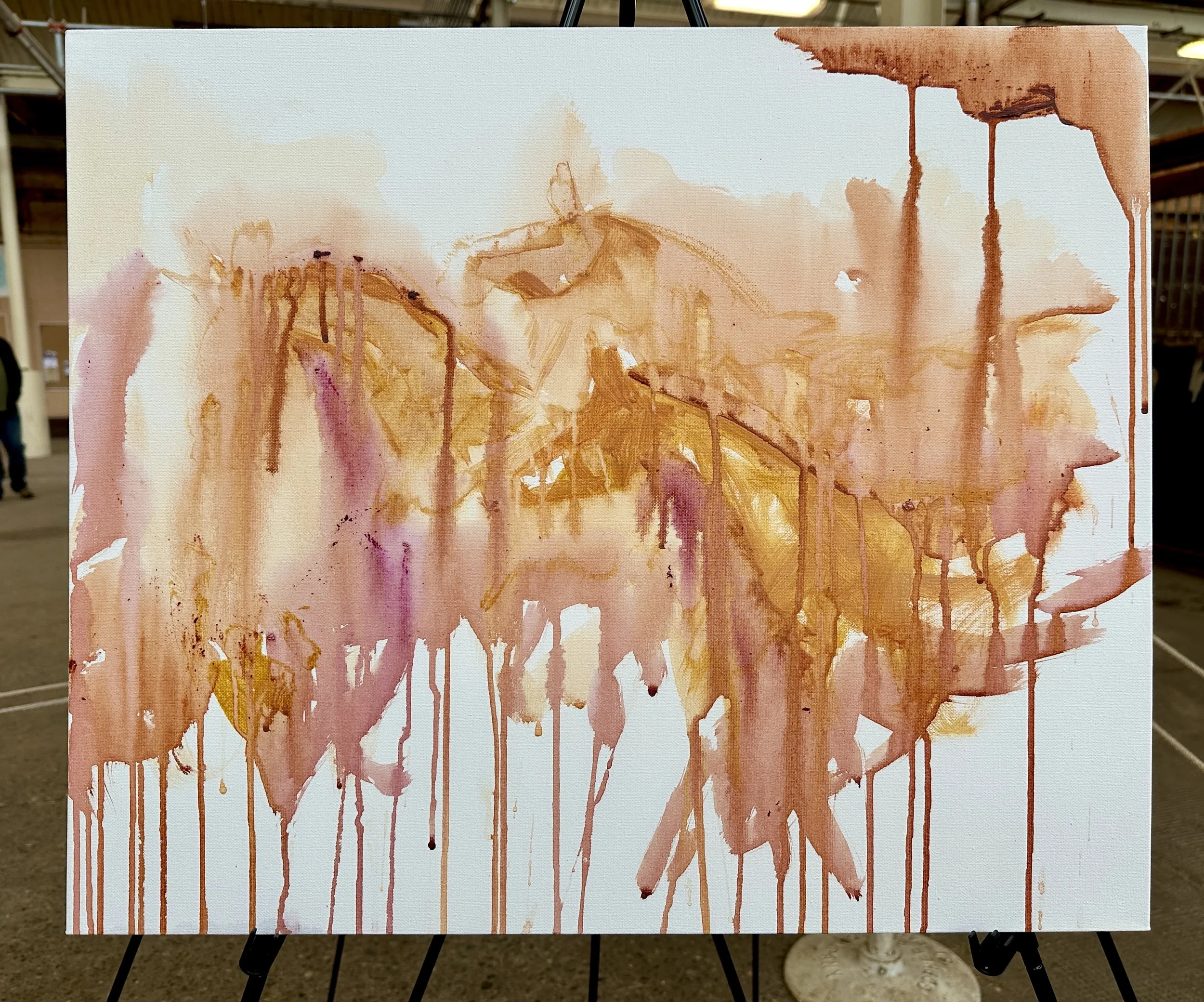 Live_MNHorseExpo_2026 (15).JPEG