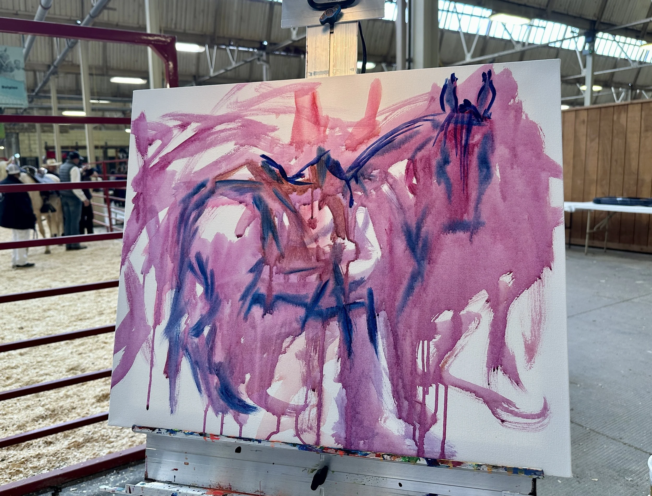 Live_MNHorseExpo_2026 (54).JPEG