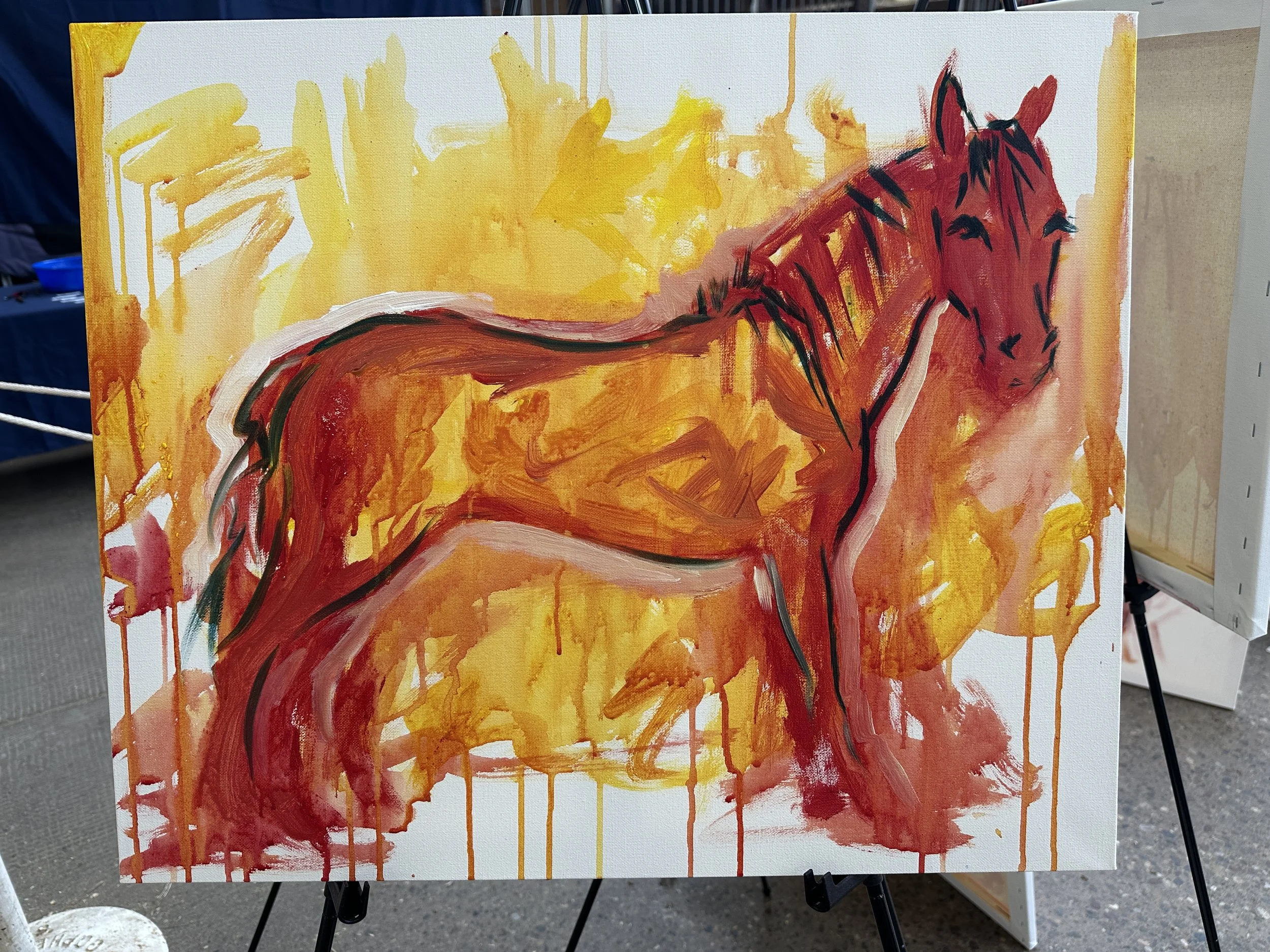 Live_MNHorseExpo_2026 (8).JPG