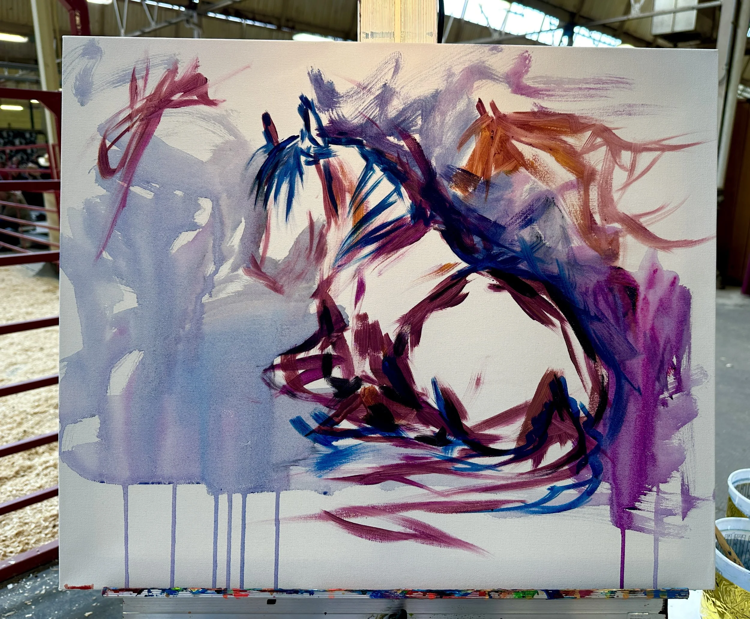 Live_MNHorseExpo_2026 (68).JPEG