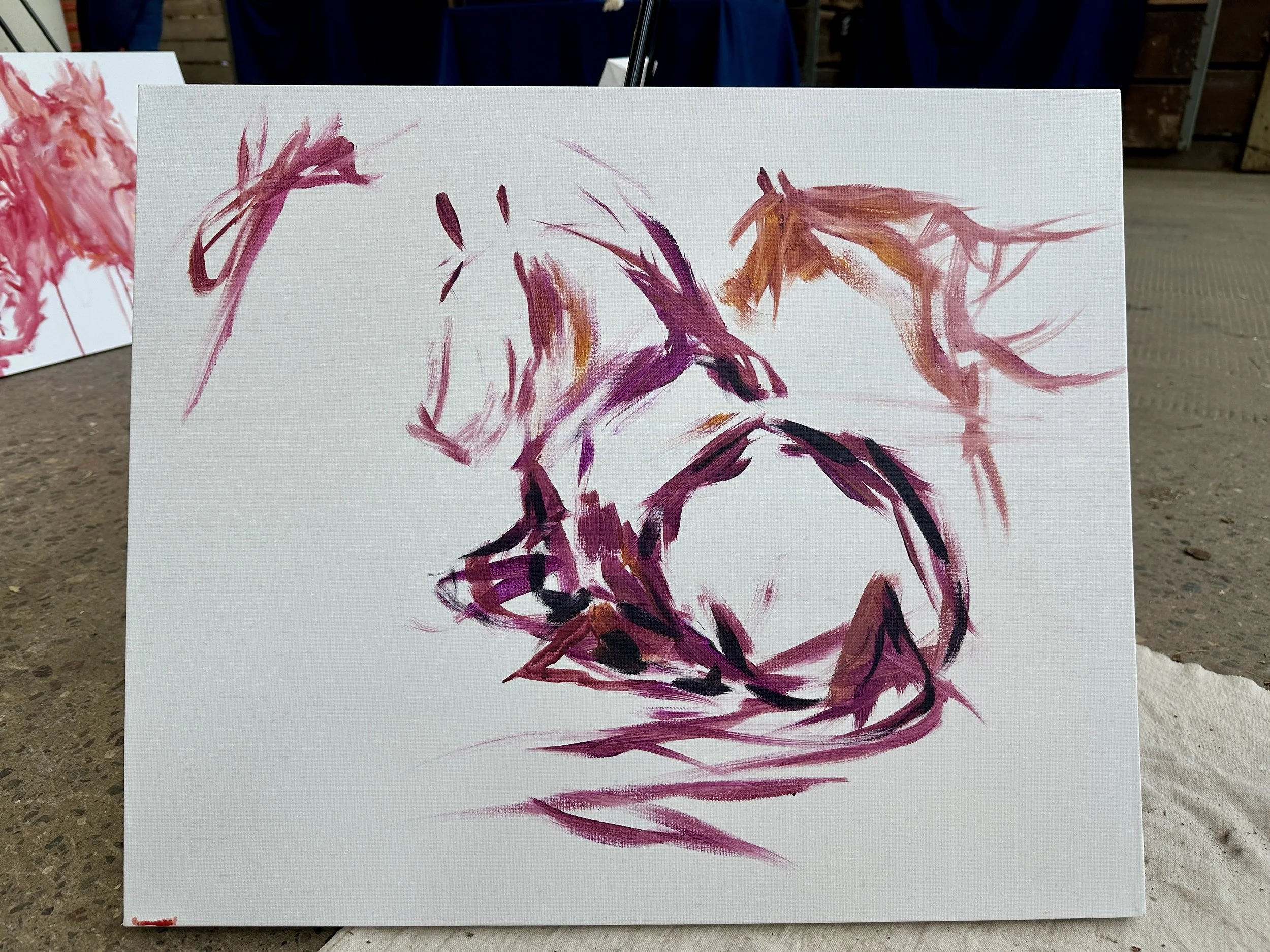 Live_MNHorseExpo_2026 (60).JPEG