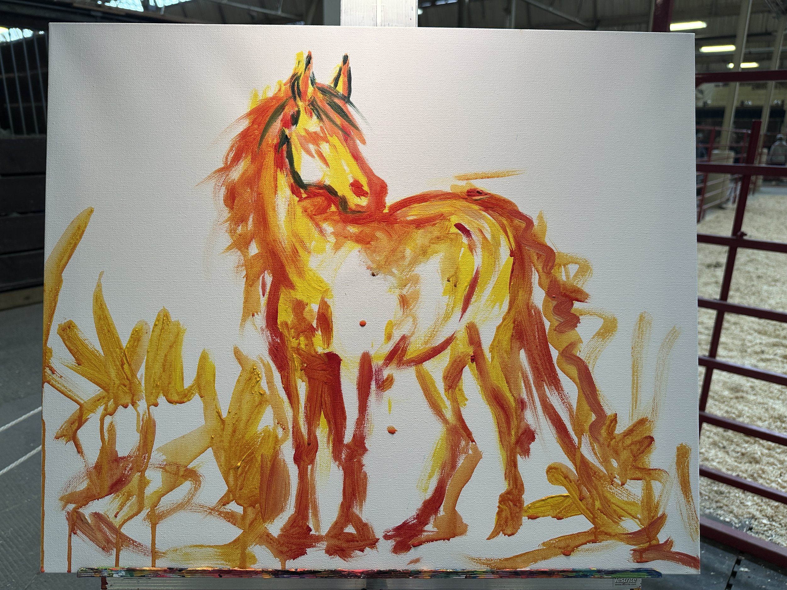 Live_MNHorseExpo_2026 (7).JPG