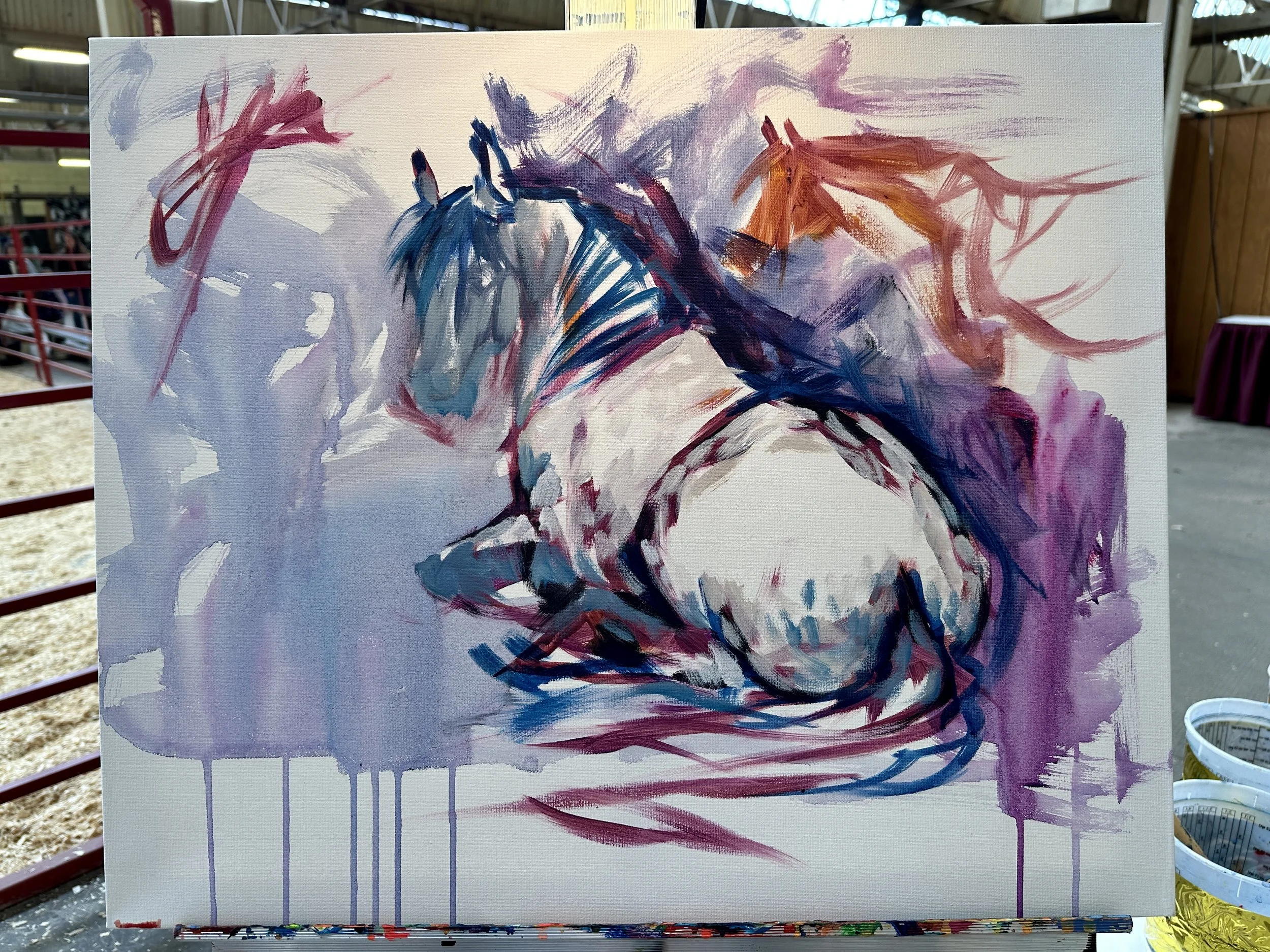 Live_MNHorseExpo_2026 (16).JPEG