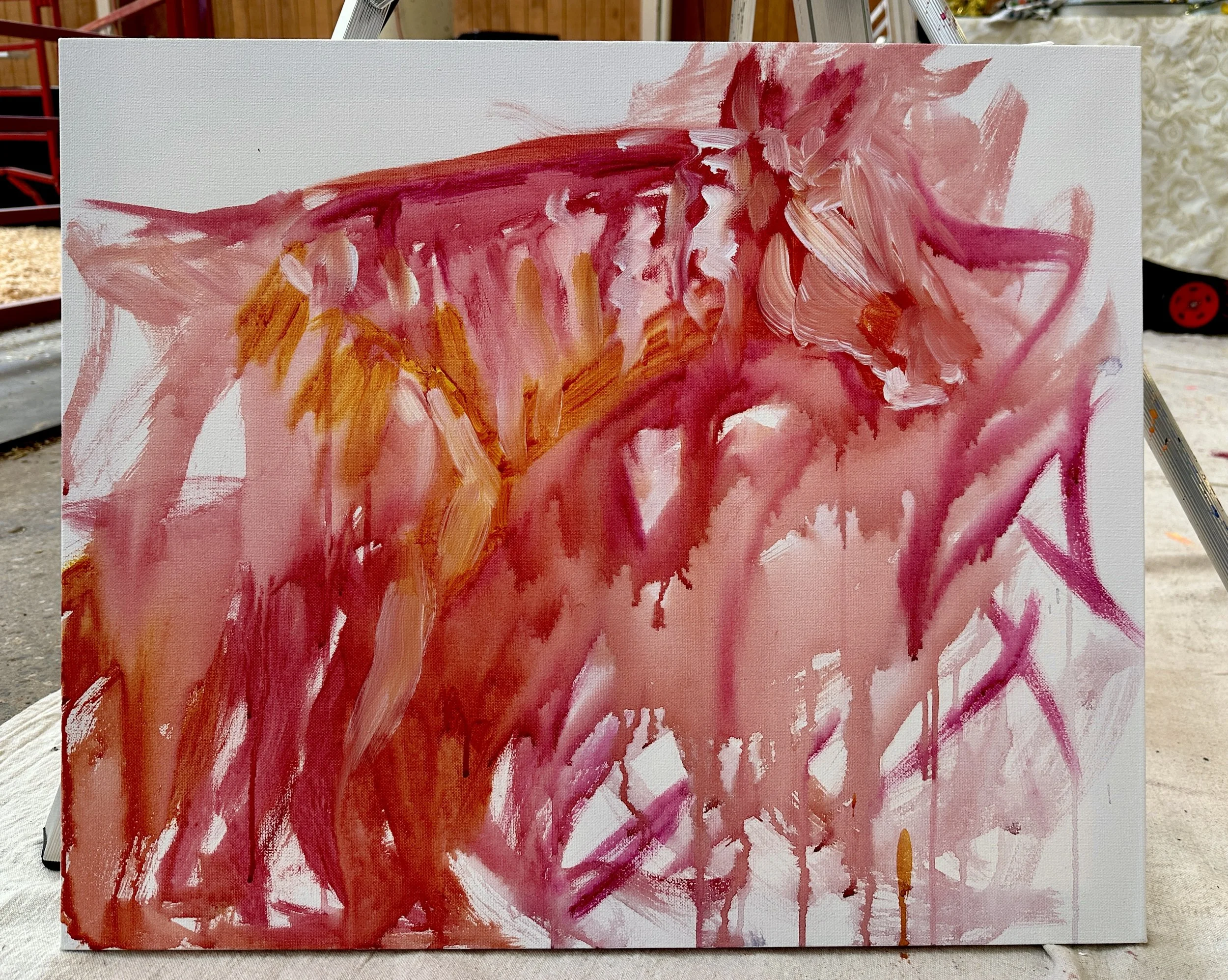 Live_MNHorseExpo_2026 (14).JPEG