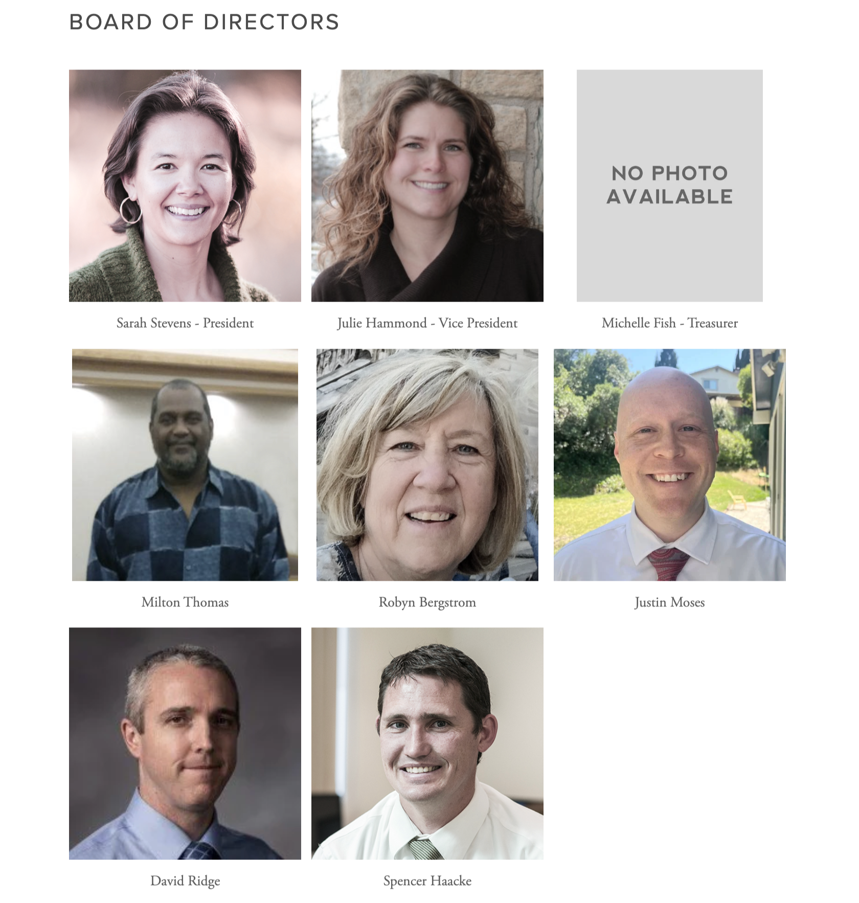  Interested in helping us keep the organization running?  Request a Board application today! 