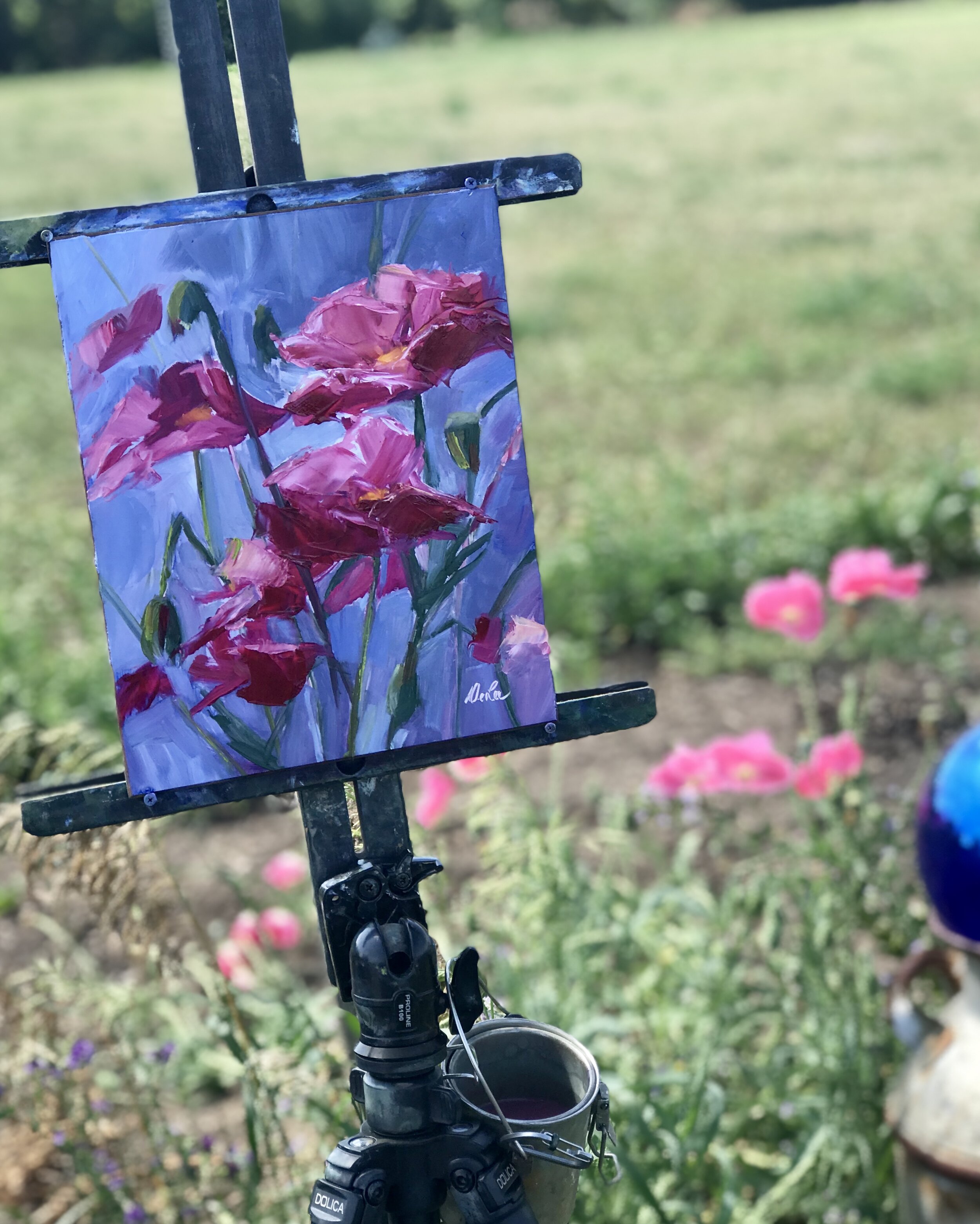 Pink Poppies, oil, 8x10 (framed 12x14)