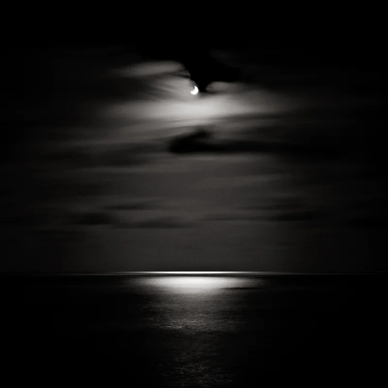 DAVID FOKOS, Solar Eclipse I , June 10, 2002, San Diego, California, 2002