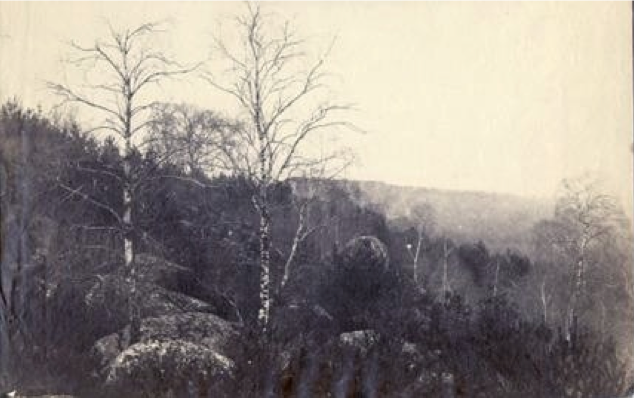 EUGÈNE CUVELIER, Landscape with Two Birch Trees, c. 1860s